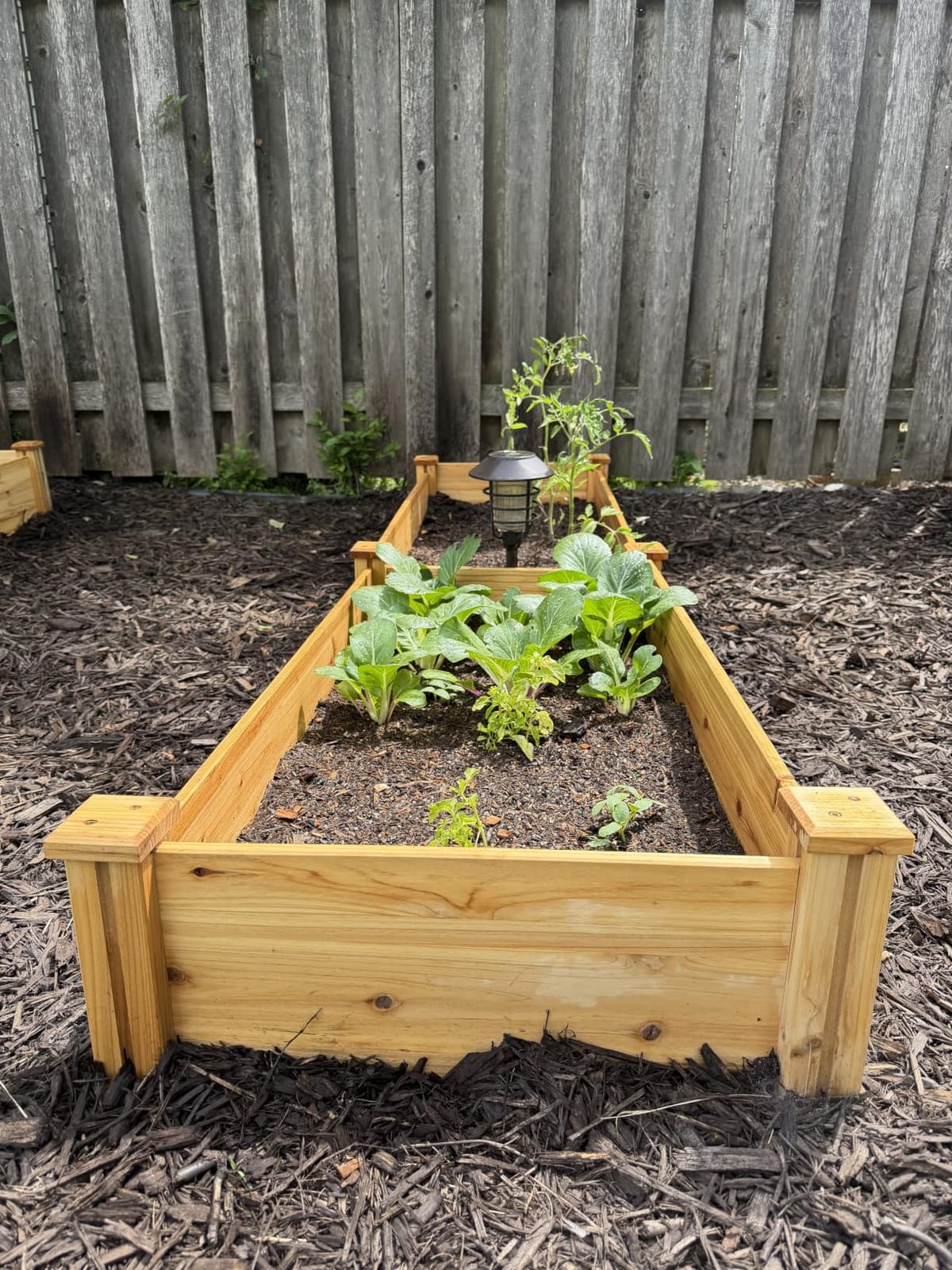 Yaheetech Raised Garden Bed Wooden Planter Box for Vegetables/Flowers, Wood | Fir wood raised bed offers easy assembly, and a practical space for growing vegetables, herbs, and garden plants. customer photo 2