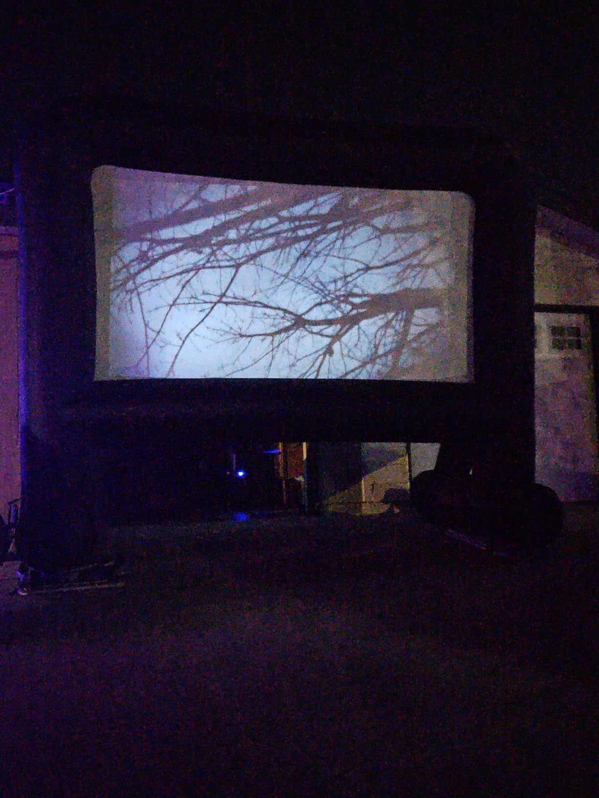 OUTTOY Inflatable/Blow Up Projection Screen with Quiet Fan and Storage Bag, Easy Set up, Mega for Outdoor, Backyard Movie Night, Theme Parties, Celebrations-16FT customer photo 1