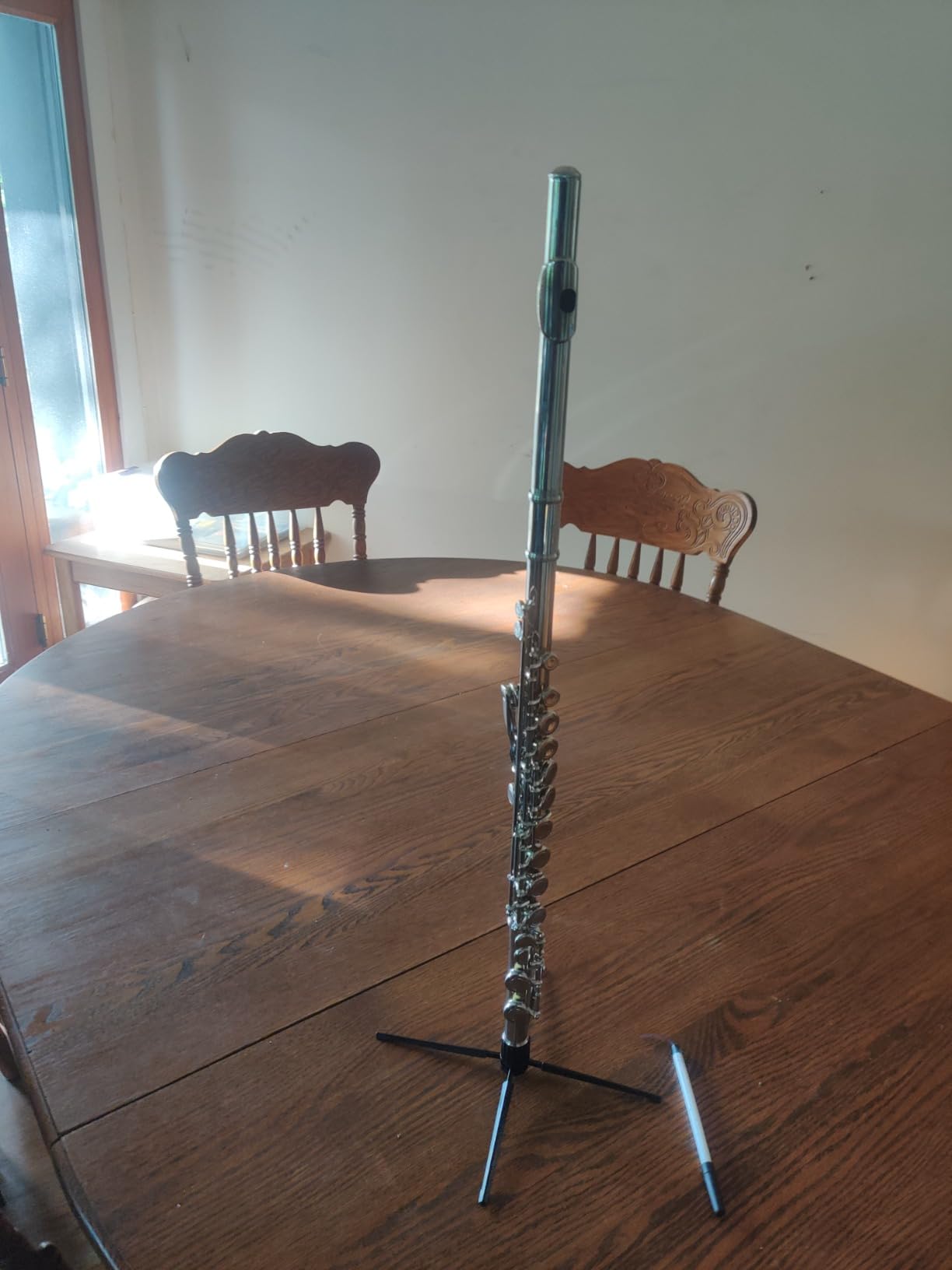 Cecilio Closed Hole C Flute - Musical Instrument, Beginner/Intermediate Flute in Band & Orchestra, Nickel customer photo 2