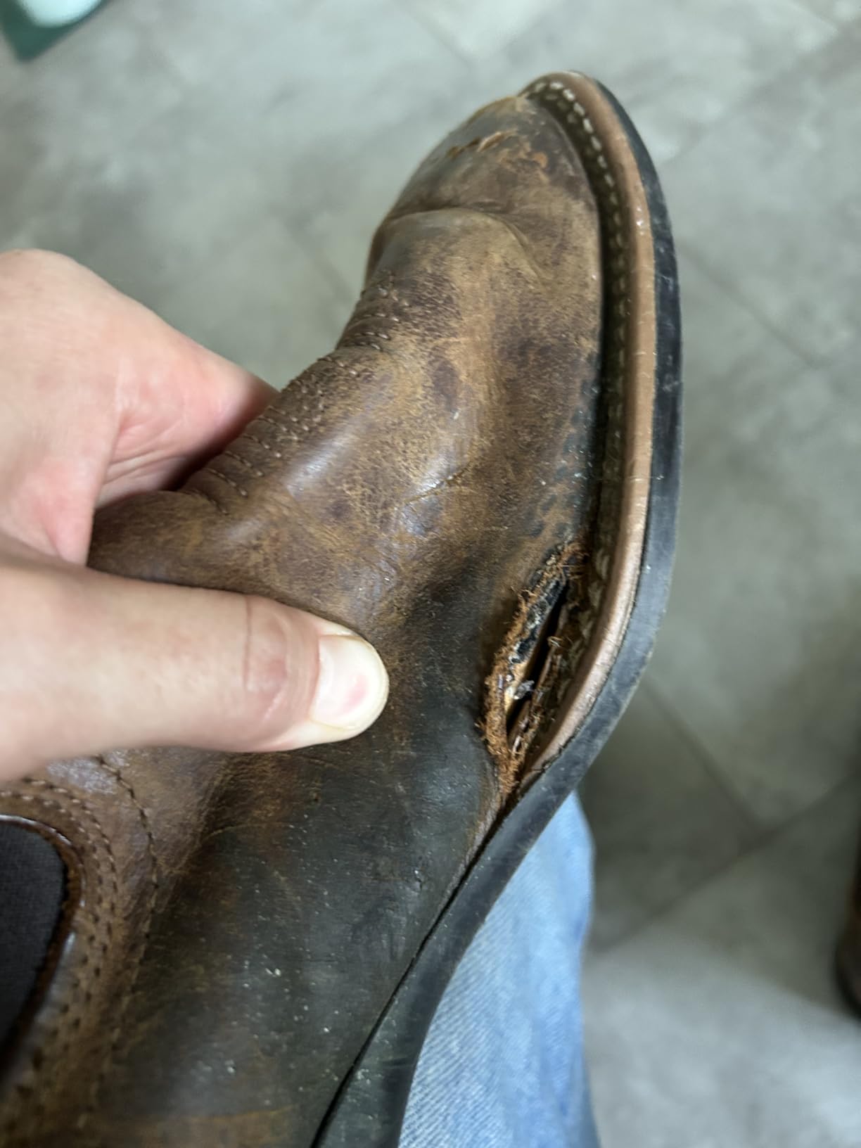 ARIAT Sport Booker Ultra customer photo 1