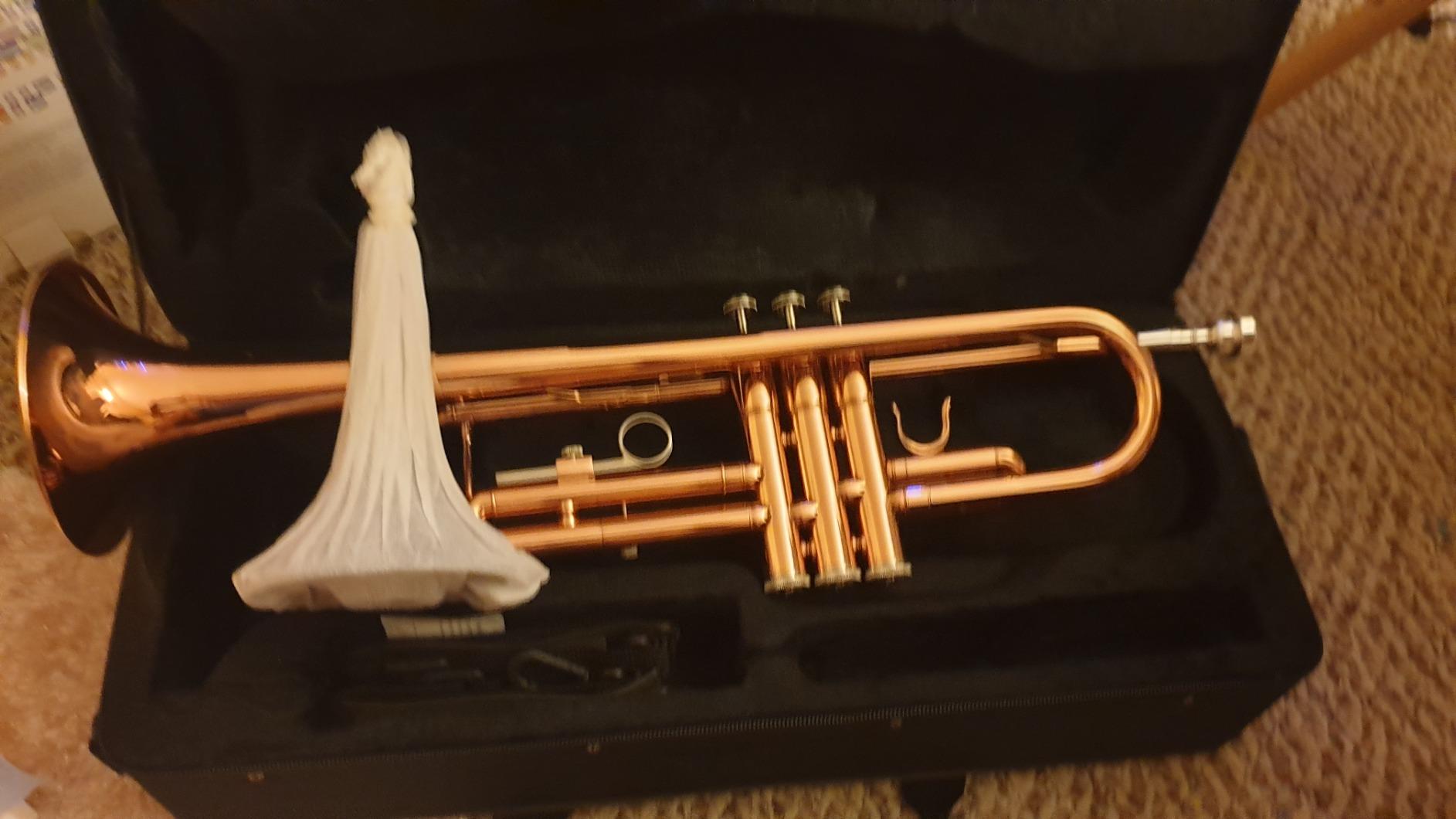 Bb Trumpet Standard Trumpet Set with Carrying Case, Gloves, 7C Mouthpiece, Cleaning Kit, Tuning Rod (Phosphor Copper) customer photo 1