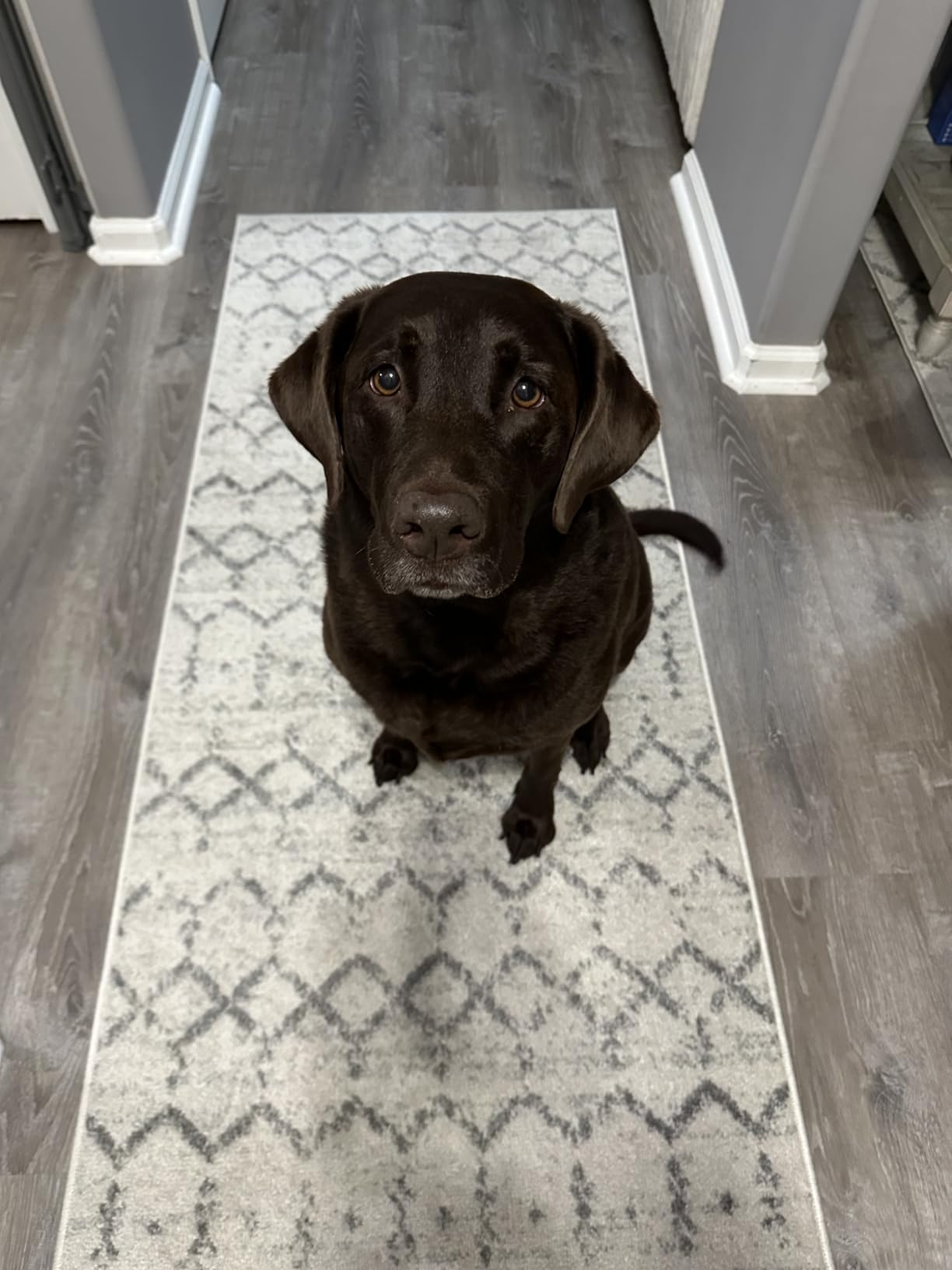 JONATHAN Y Boho Vintage Diamond Cream/Multi Indoor Area Rug 8X10 ft, Moroccan Hype for Living Room, Bedroom, Kitchen, Office, Easy-Cleaning, High Traffic, Pet-Friendly, Non-Shedding (MOH101H-8) customer photo 1