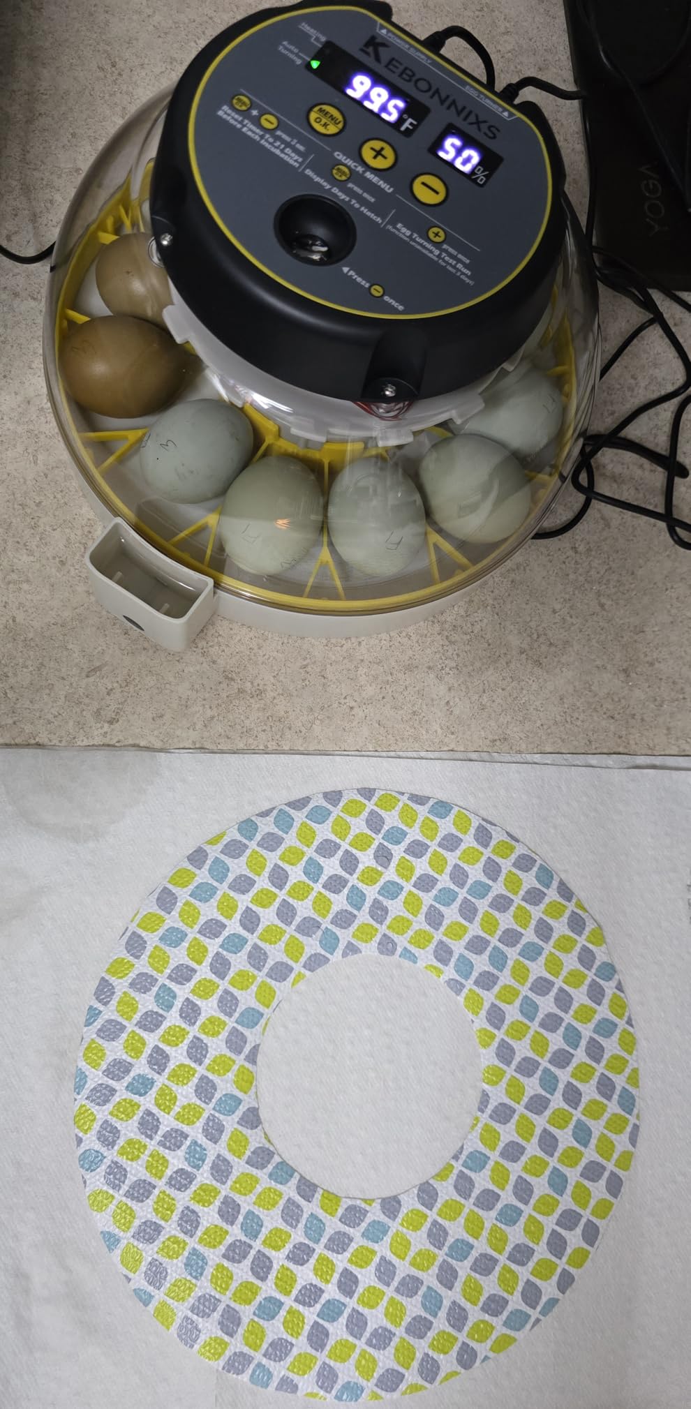 KEBONNIXS 12 Egg Incubator with Humidity Display, Egg Candler, Automatic Egg Turner, for Hatching Chickens customer photo 1