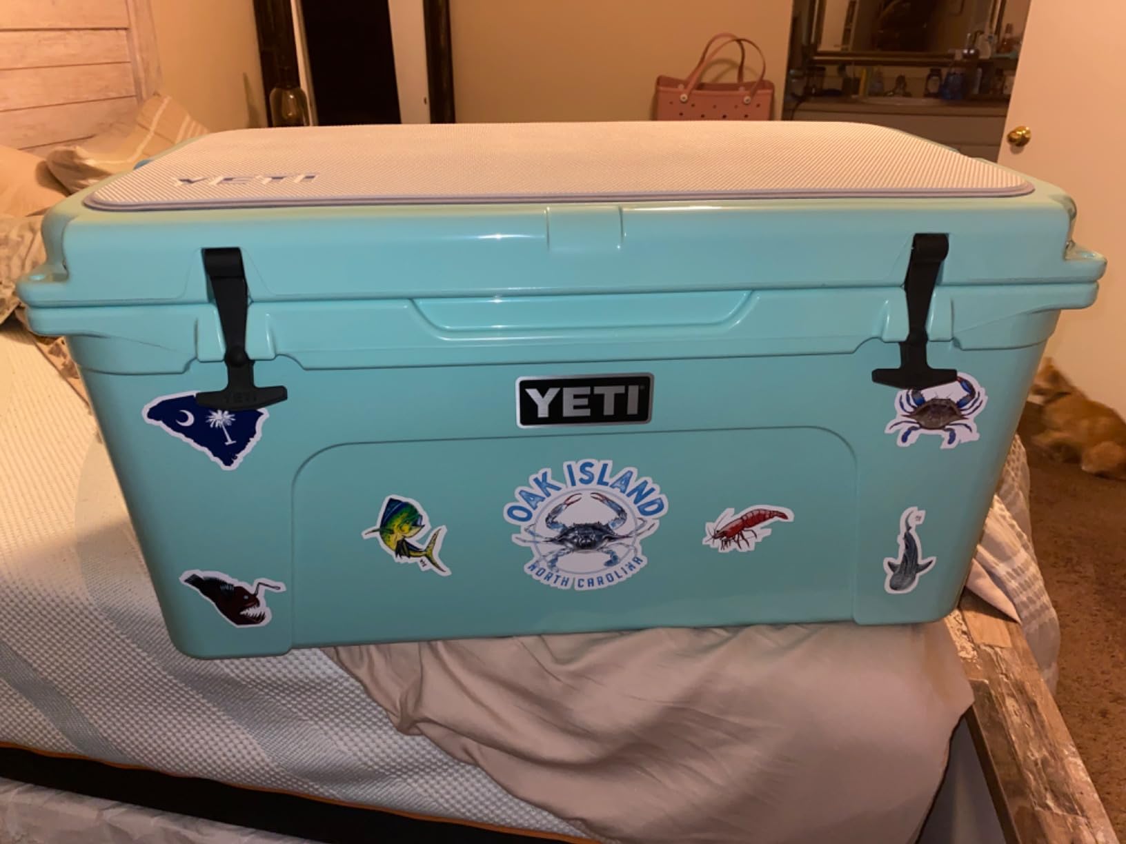 YETI Tundra 65 Cooler | Rotomolded Portable Cooler Box, Fits 54 Cans or 16.8 kg Ice, PermaFrost Insulation, Tough Ice Cooler for Camping or Fishing customer photo 1