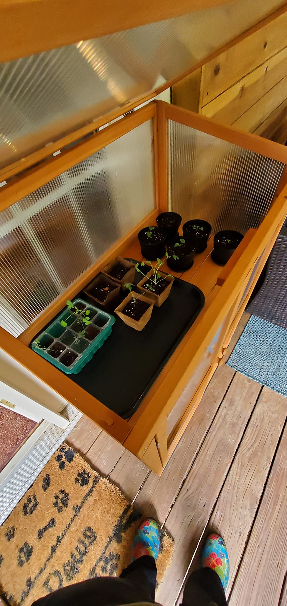 MCombo Cold Frame Greenhouse, Wooden Cabinet with Shelves, 0760 (Orange) customer photo 1