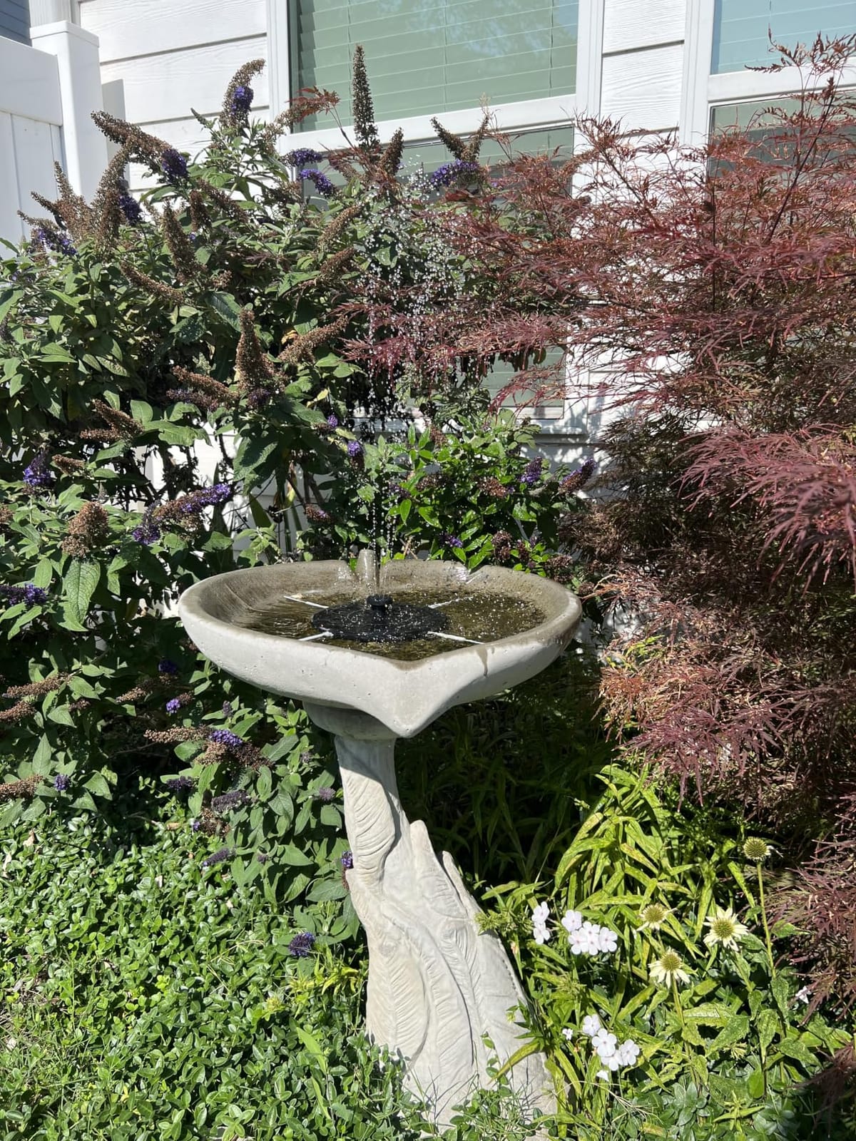 Mademax Solar Bird Bath Fountains, Upgrade 1.4W Solar Fountain Pump with 8 Nozzles & 4 Brackets, Free Standing Floating Solar Powered Water Fountain Pump for Bird Bath, Garden, Pond, Pool, Outdoor customer photo 2