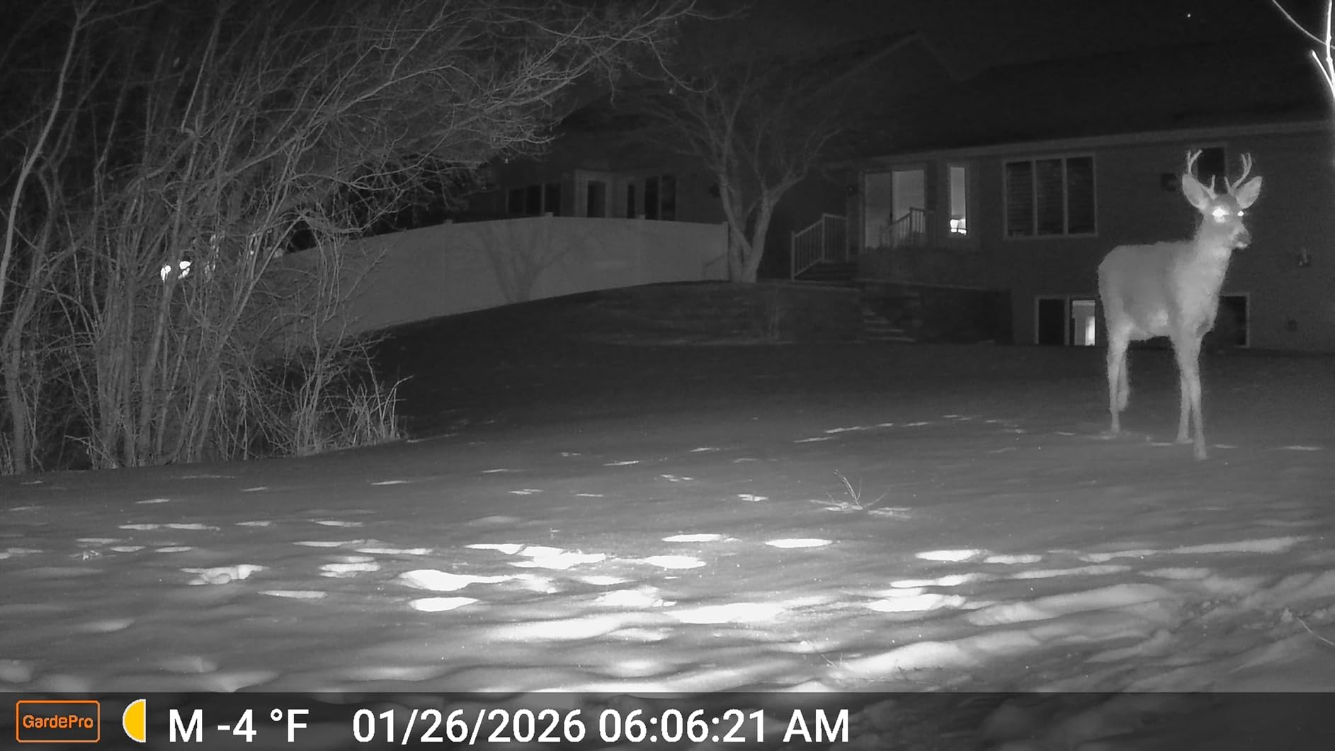 GardePro A3S Trail Camera, 64MP Photo, 1296P HD Video with Sound | 0.1s Trigger, 100ft No-Glow Night Vision, Motion Activated, Non-Cellular, Non-WiFi customer photo 2