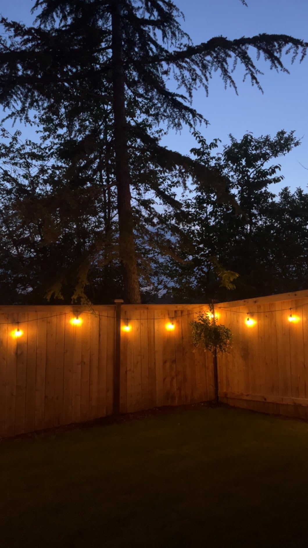 Svater Outdoor String Lights for Outside 150 FT Waterproof Commercial Grade | Hanging for Patio Bistro Cafe Backyard Deck, Shatterproof 1W E26 S14 Dimmable Antique Bulbs 2700K (50 FT *3) customer photo 1