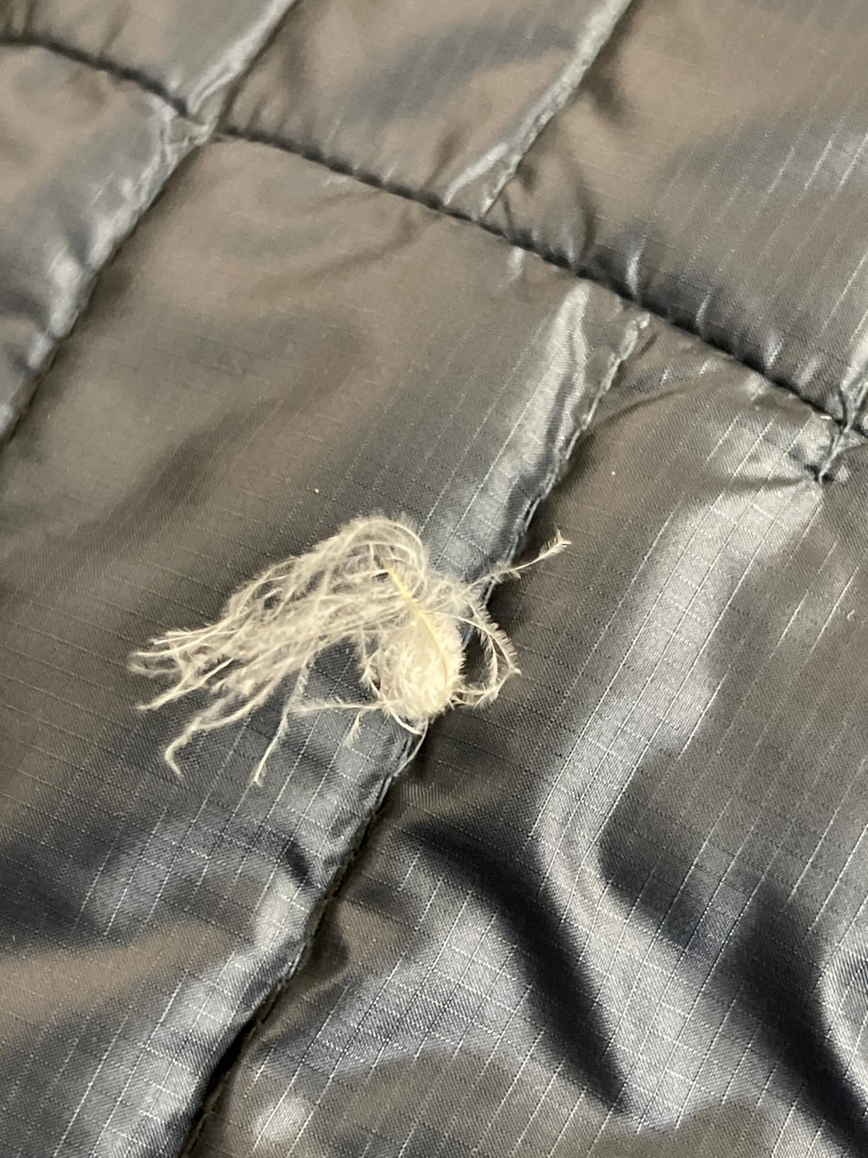 Rab Men's Microlight Alpine Down Jacket customer photo 2