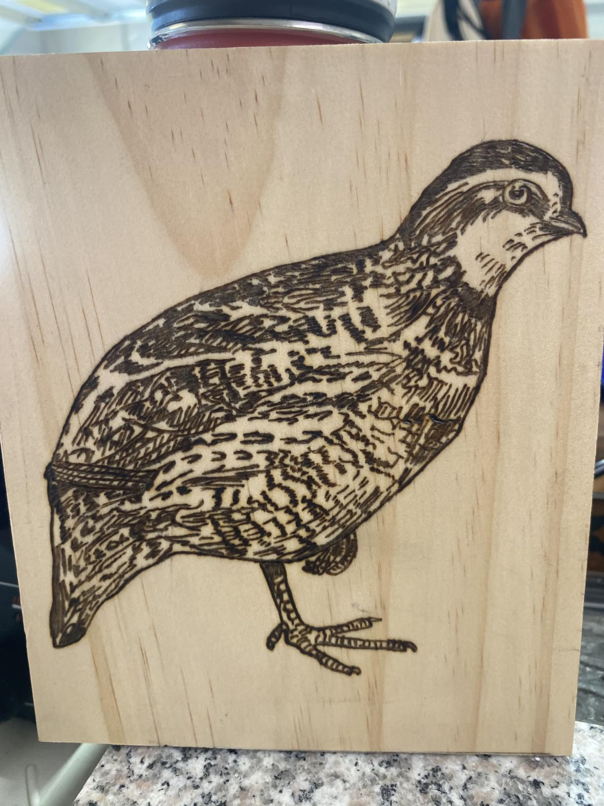 YIHUA 939-II Wood Burning Kit Station Pyrography Pen 250~750C Temperature Adjustable with 20 Wire Nibs customer photo 1