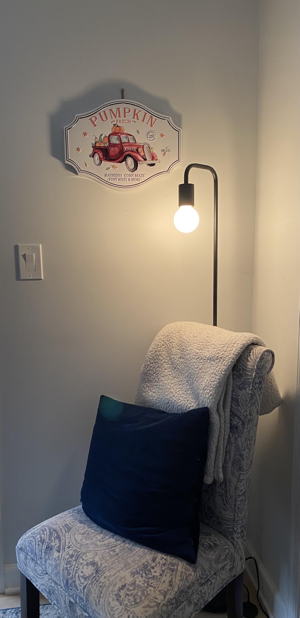 BoostArea Floor Lamp, Industrial Floor Lamp, 63 Inch Standing Lamp, E26 Socket, On/Off Footswitch, Whole Metal, ETL Listed, Modern Small Lamp for Bedroom, Living Room, Minimalist, Vintage, Mid Century customer photo 1