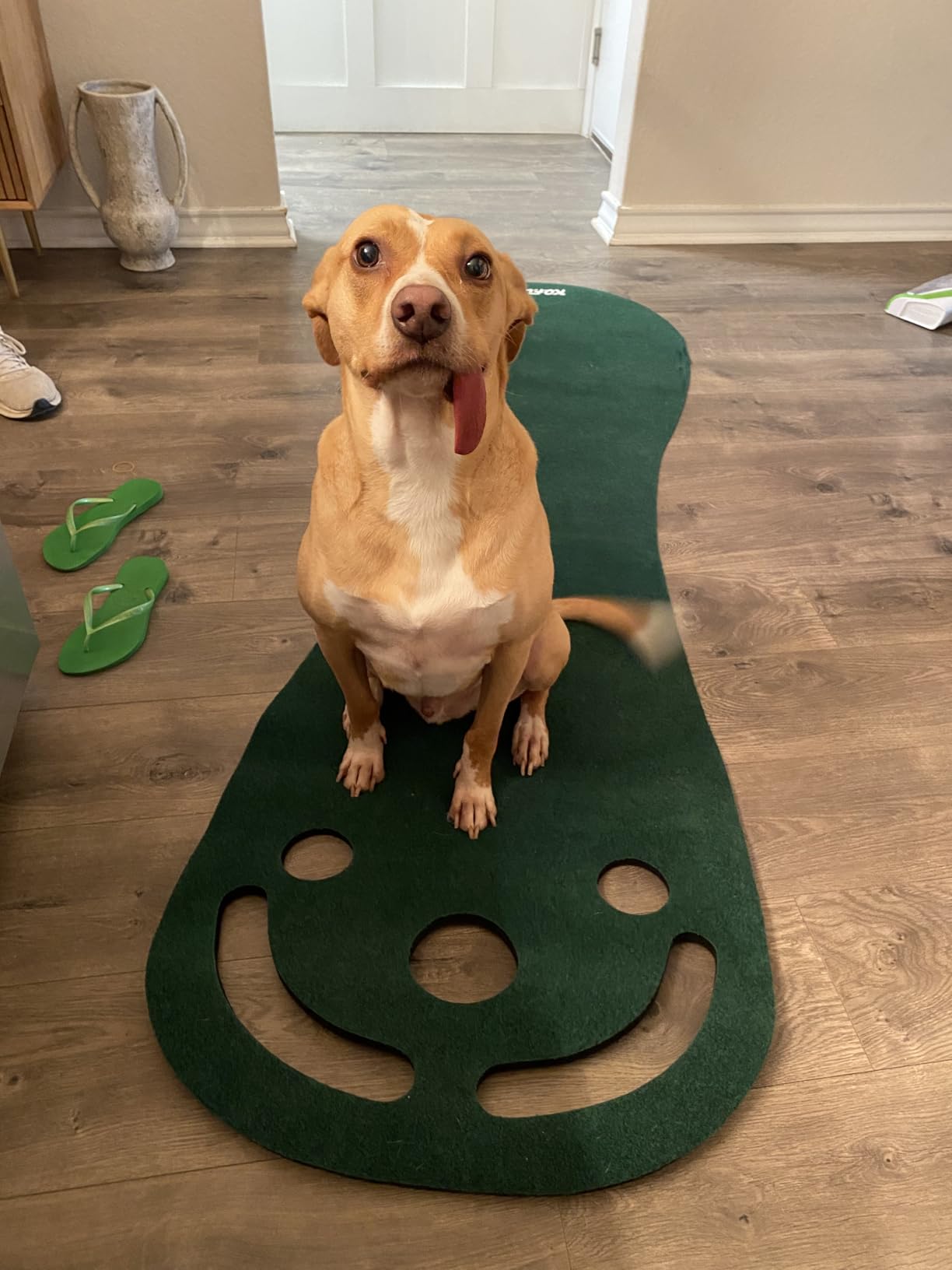 KOFULL Putting Green Mat Set-Mini Golf Set for Indoor/Outdoor Golf Putting | Backyard Golf Game with 78