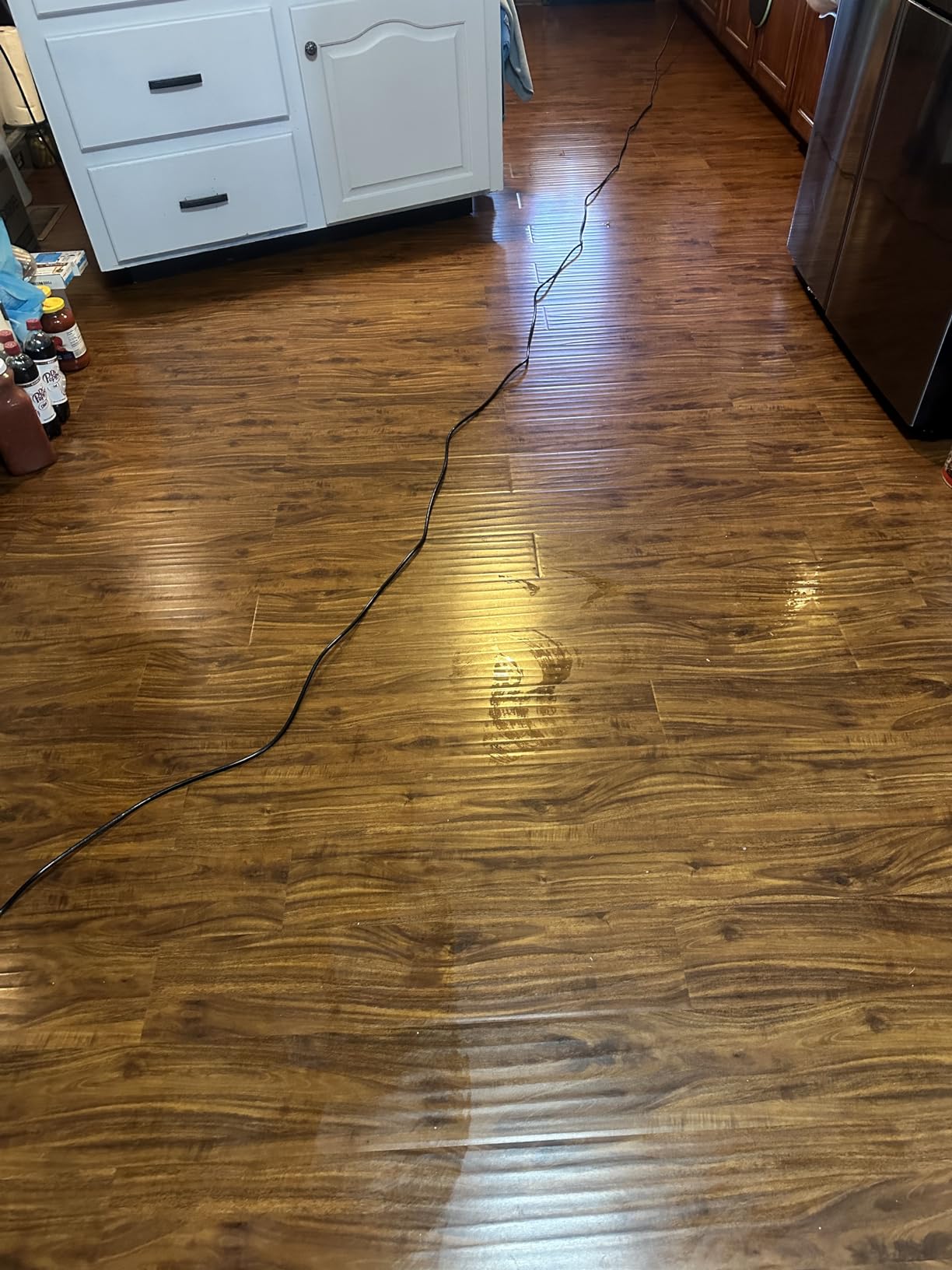 BISSELL SpinWave Pet Hard Floor Corded Spin Mop, 20399 | Washable pads for stain removal; pet-formula compatible; electric spin mop for sealed hard floors customer photo 1