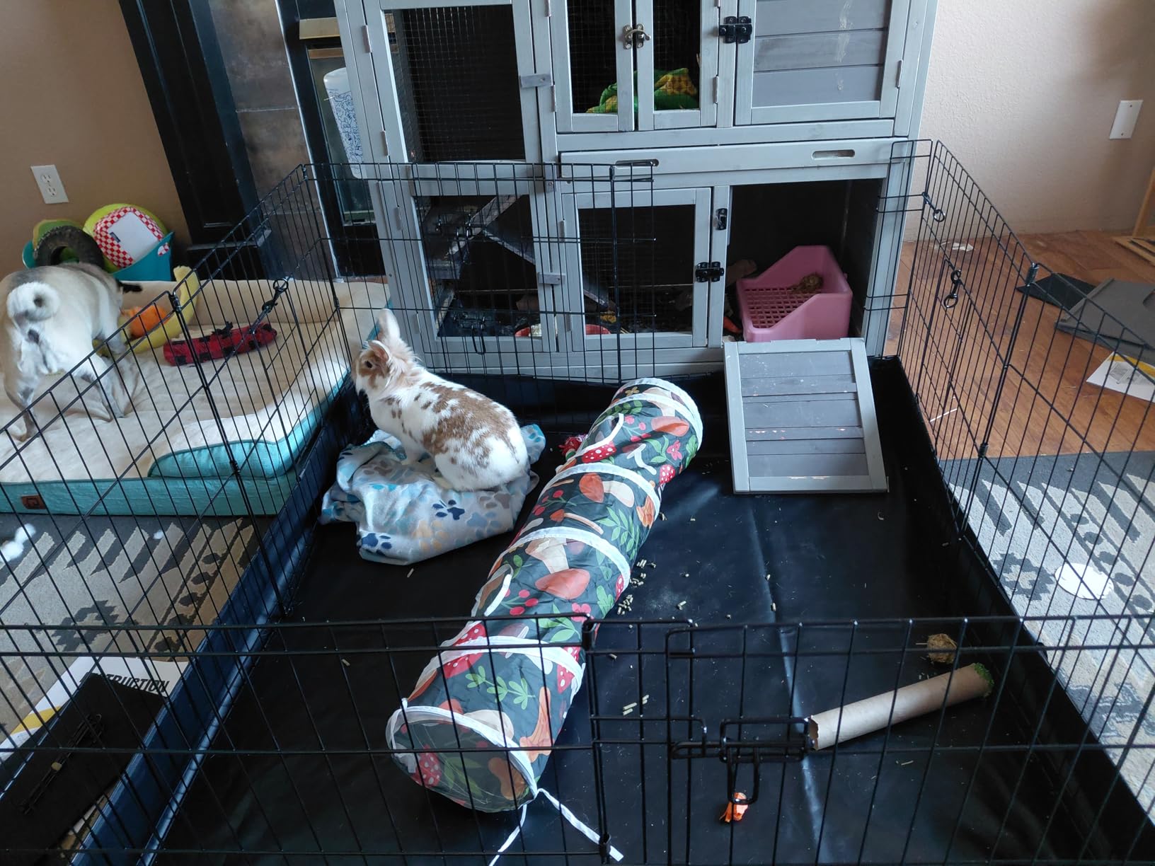 GUTINNEEN Rabbit Hutch Indoor Outdoor Bunny House Guinea Pig Cage on Wheel with Plastic Tray customer photo 2