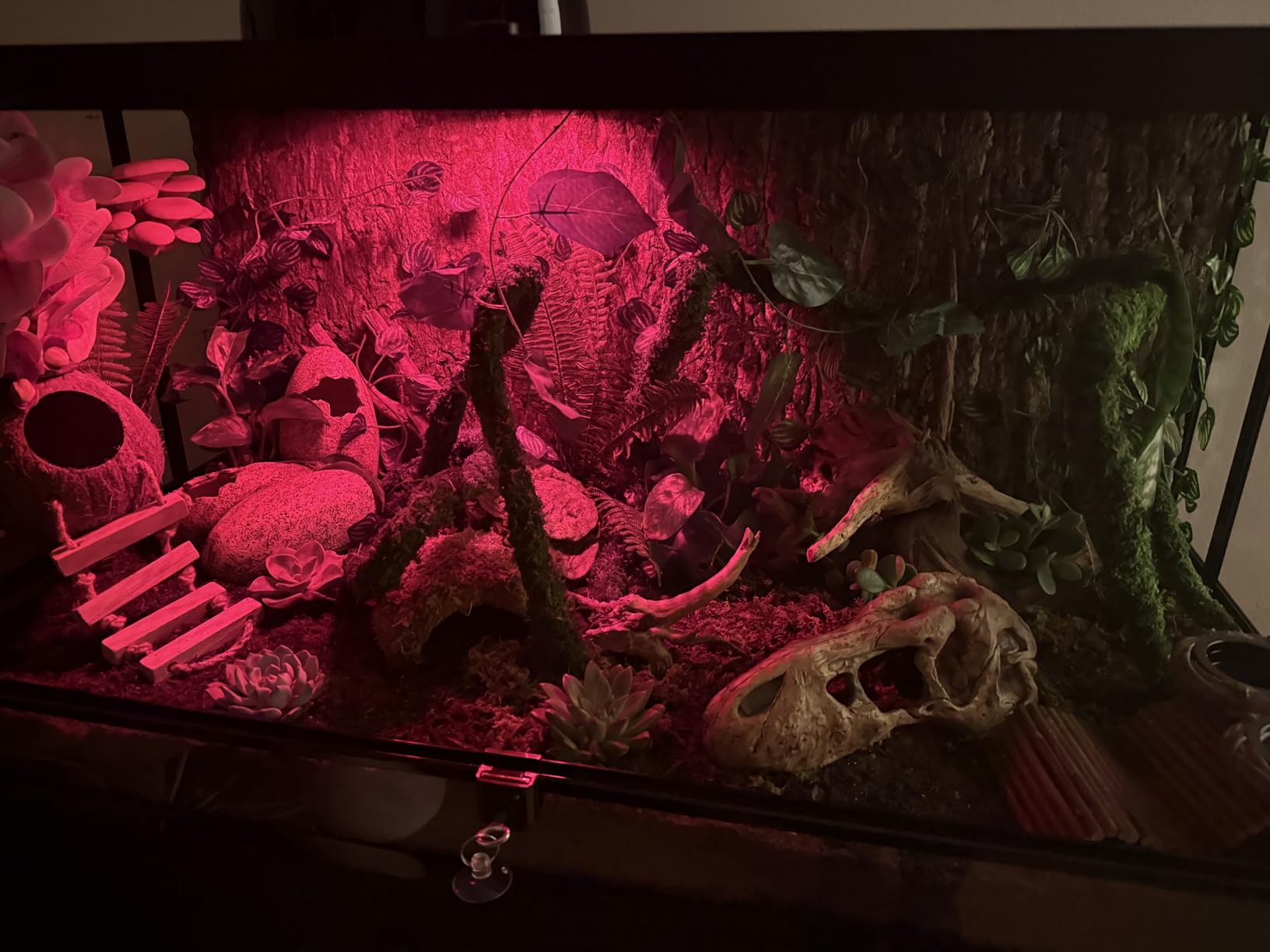 REPTI ZOO 50 Gallon Reptile Glass Tank Terrarium 2 in 1 Side Meshes and Side Glasses Switched Easily Double Hinge Door 36