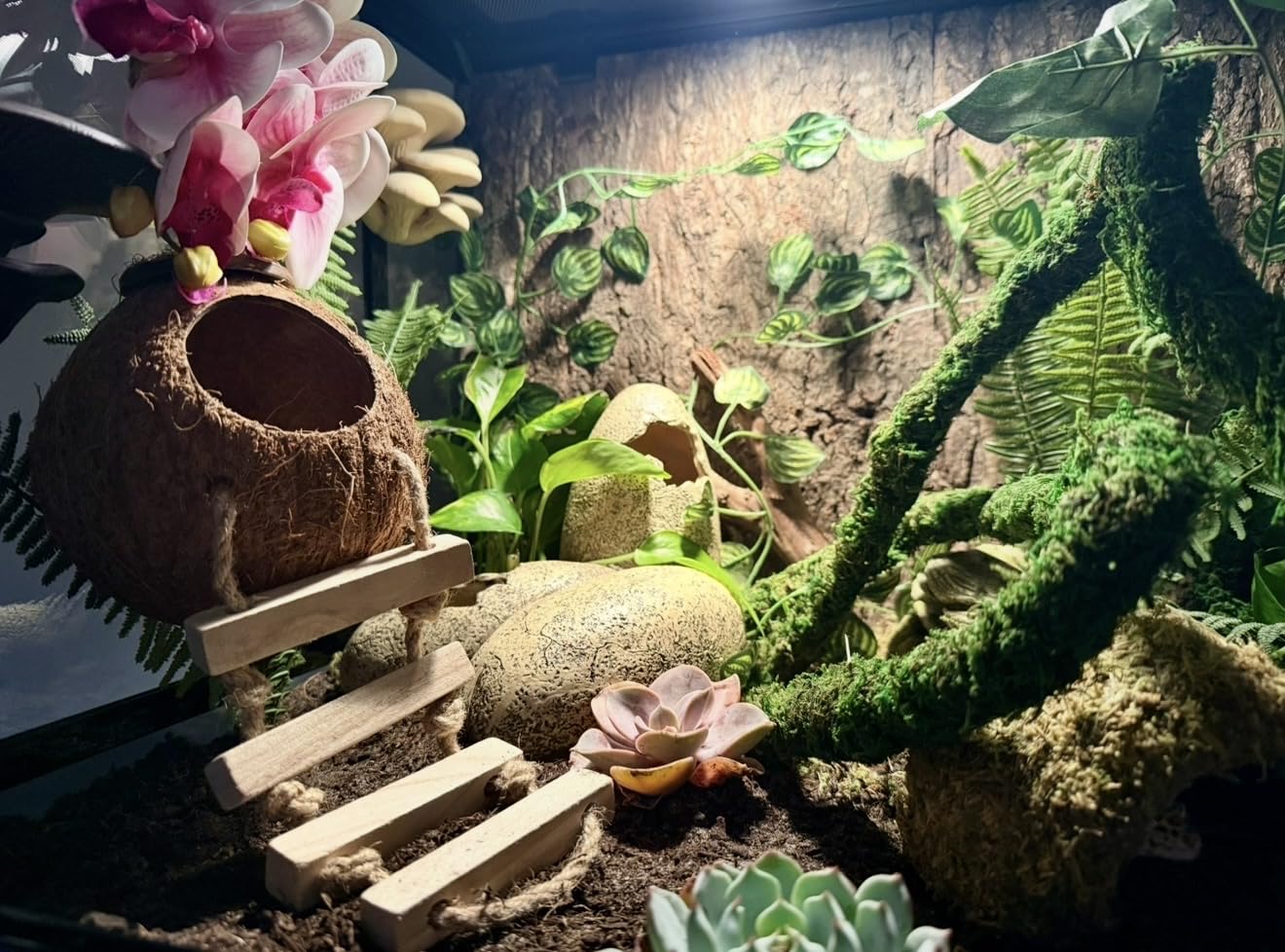 REPTI ZOO 50 Gallon Reptile Glass Tank Terrarium 2 in 1 Side Meshes and Side Glasses Switched Easily Double Hinge Door 36