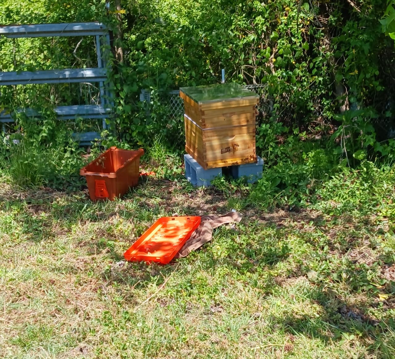 Beehive 10 Frame Bee Hives and Supplies Starter Kit, Bee Hive for Beginner, Honey Bee Hives Includes 1 Deep Brood Hive Box, 1 Bee Hive Super Box with Beehive Frames and Foundations customer photo 1