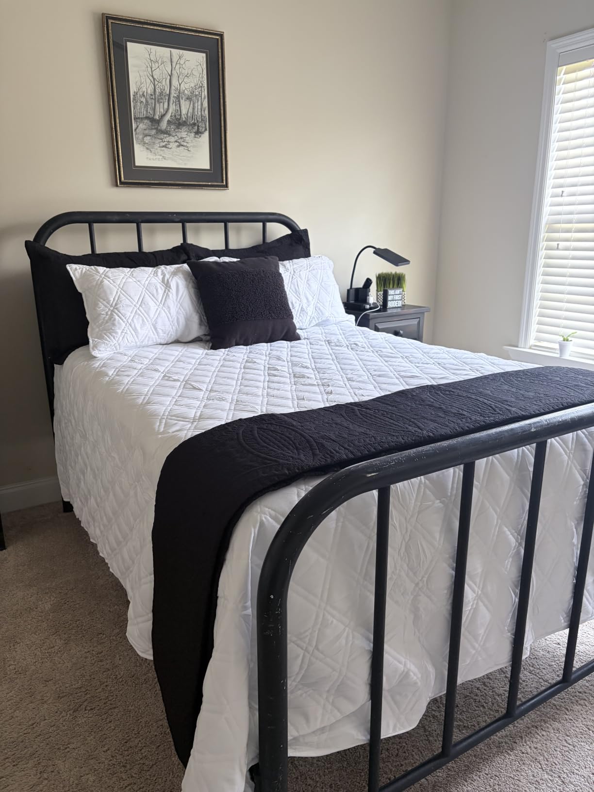 Love's cabin Quilts for Queen Bed Blue Bedspreads - Soft Bed Summer Lightweight Bedspread Comforter - Modern Style Coin Pattern Coverlet for All Season - 3 Pieces (1 Quilt, 2 Pillow Shams) customer photo 1