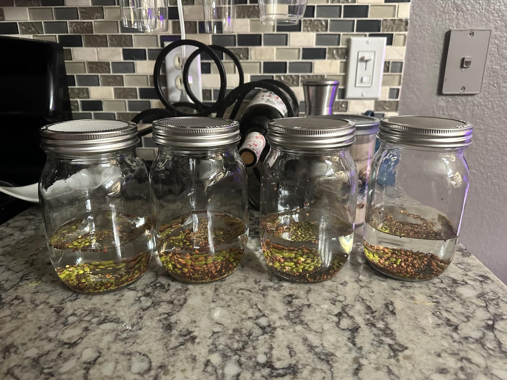 Sprouting Jar Kit-2 Wide Mouth Quart Mason Jars with 316 Stainless Steel Screen Sprout Lids, Drip Tray, Stand | Seed Sprouter Set for Growing Broccoli, Alfalfa, Mung Bean customer photo 2