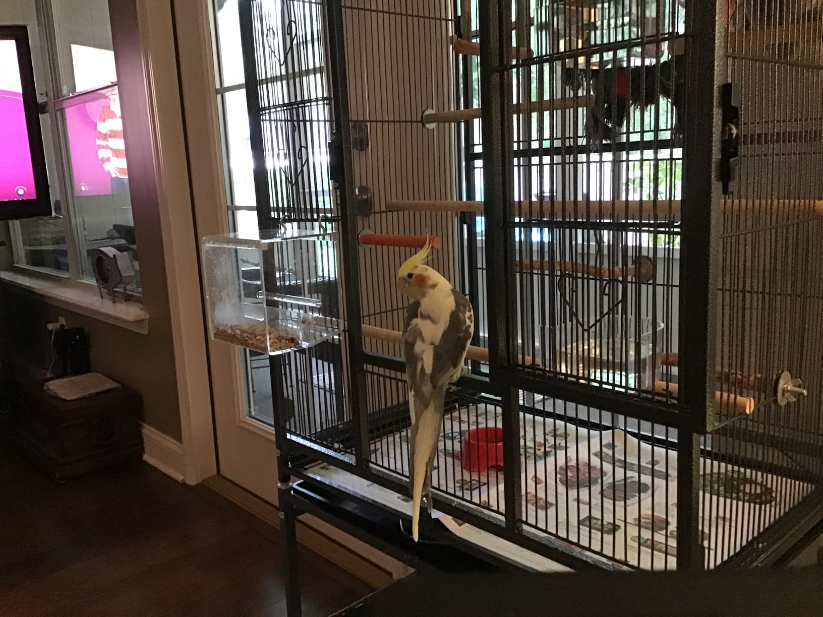 VIVOHOME 54 Inch Wrought Iron Large Bird Cage with Rolling Stand | Bird Flight Cage with Stand, Casters, Slide-out Tray for Parakeets Canaries Parrot Cockatiels Lovebirds Conures, Black customer photo 1