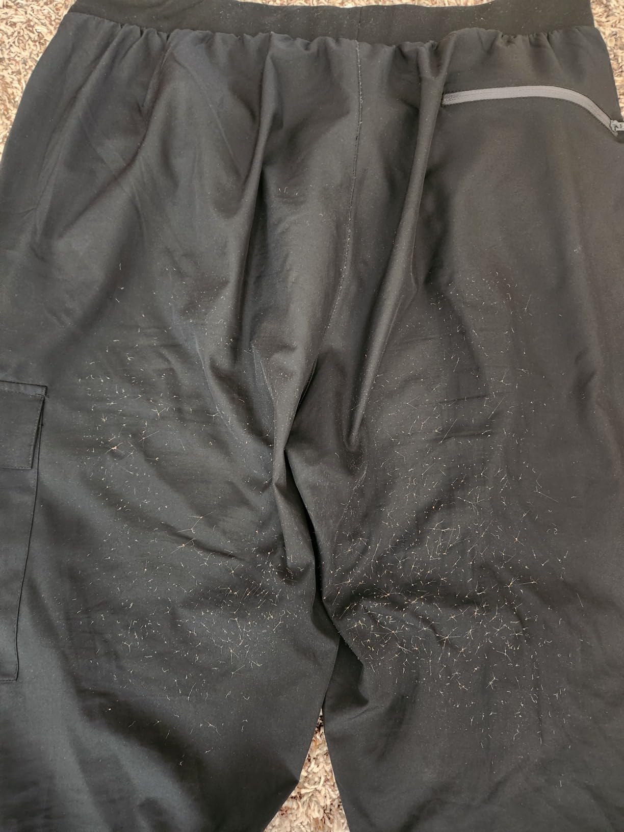 Women's Hiking Cargo Pants Quick Dry Joggers Petitle/Regular/Tall customer photo 2