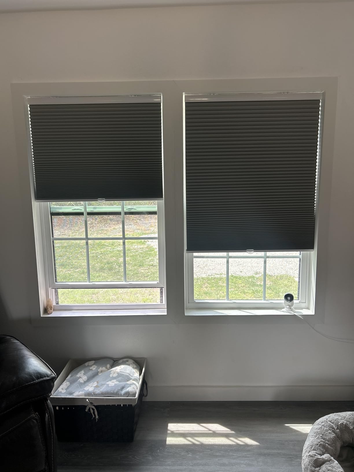 MYshade Cordless Blackout Cellular Shades for Windows, Honeycomb Window Shades with Thermal Insulation, Child & Pet Safe Room Darkening Shade, Easy Install, 34