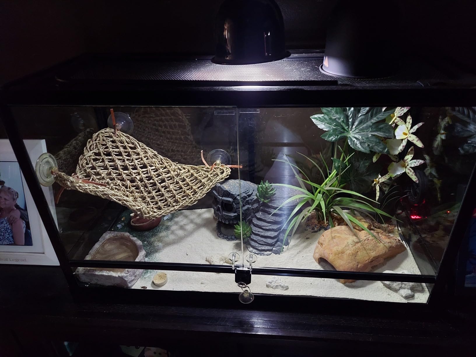 REPTI ZOO Tempered Glass Reptile Terrarium 30 Gallon, Wide Reptiles Tank 30