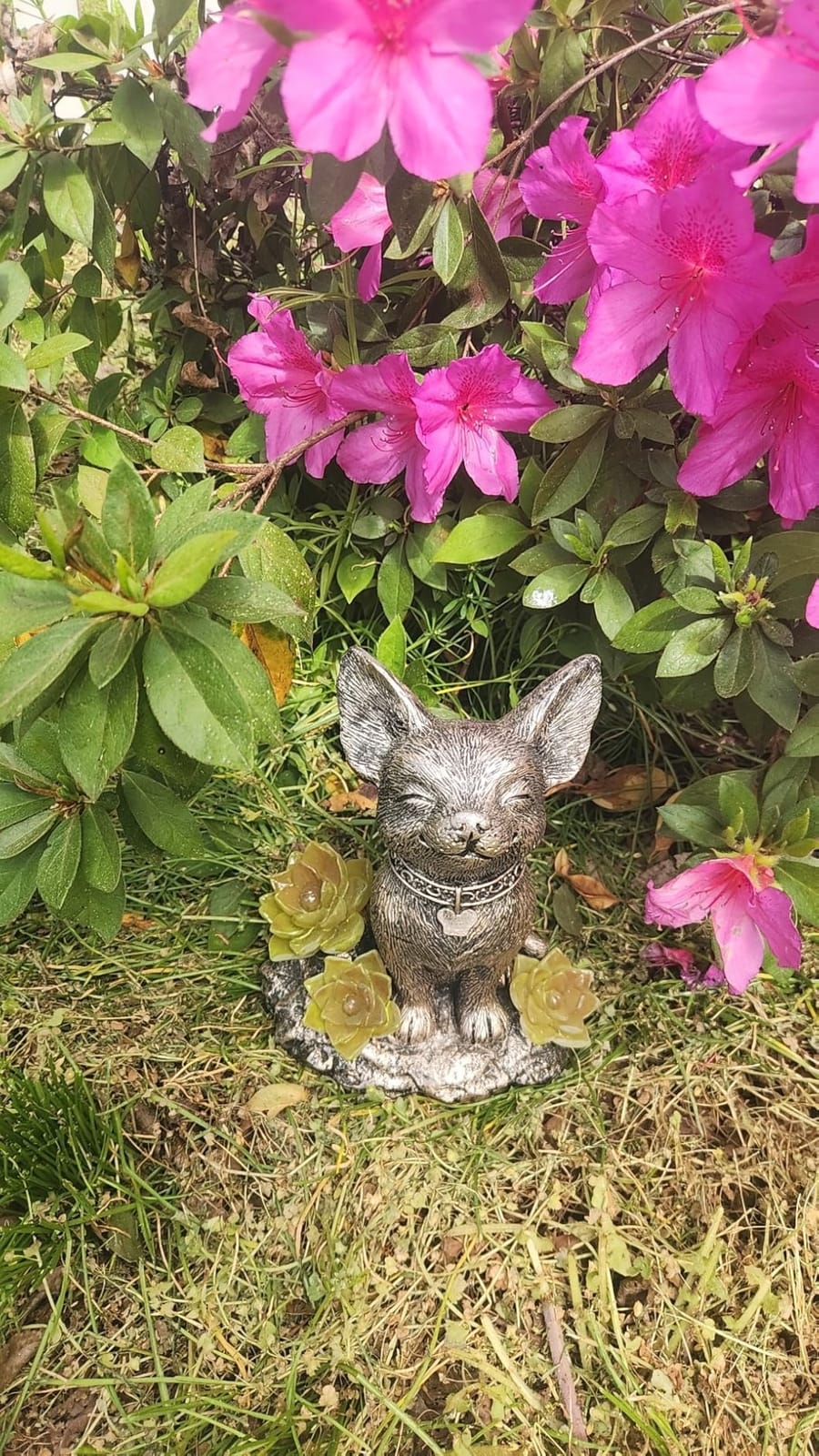 IVCOOLE Elephant Statue, Elephant Garden Statue with Solar Light, Elephant Decor, Outdoor Elephants Statue, Elephants Gifts for Mom customer photo 2