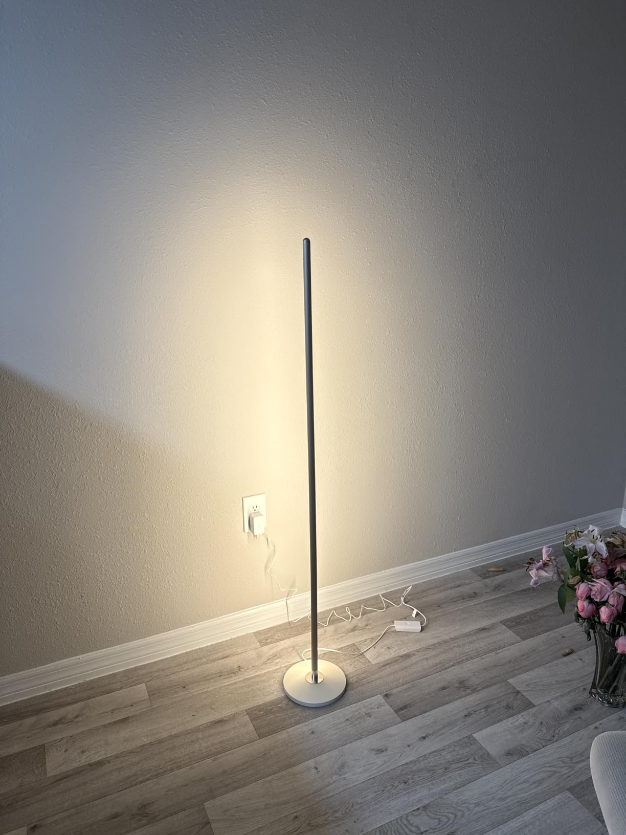Govee RGBIC Floor Lamp Basic, 1000lm LED Corner Lamp, Black | Compatible with Alexa and Matter, Modern Floor Lamp with Music Sync and 16 Million DIY Colors, Standing Lamp for Bedroom customer photo 2