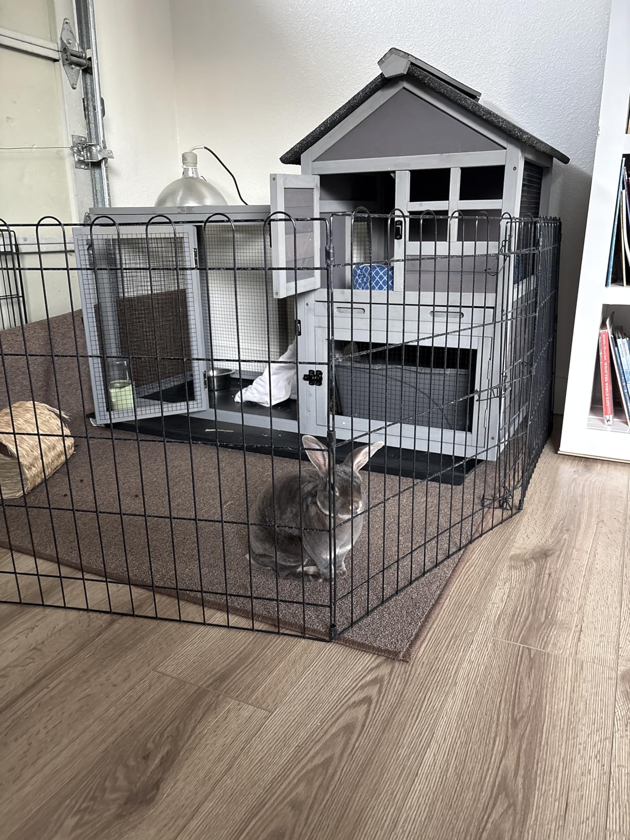 GUTINNEEN Rabbit Hutch for Outdoor Indoor Use, Bunny Cage with PVC Layer and Bottom Wire Netting, Wooden Chicken Coop Rabbit House with UV Roof, Leakproof Tray, Run customer photo 1
