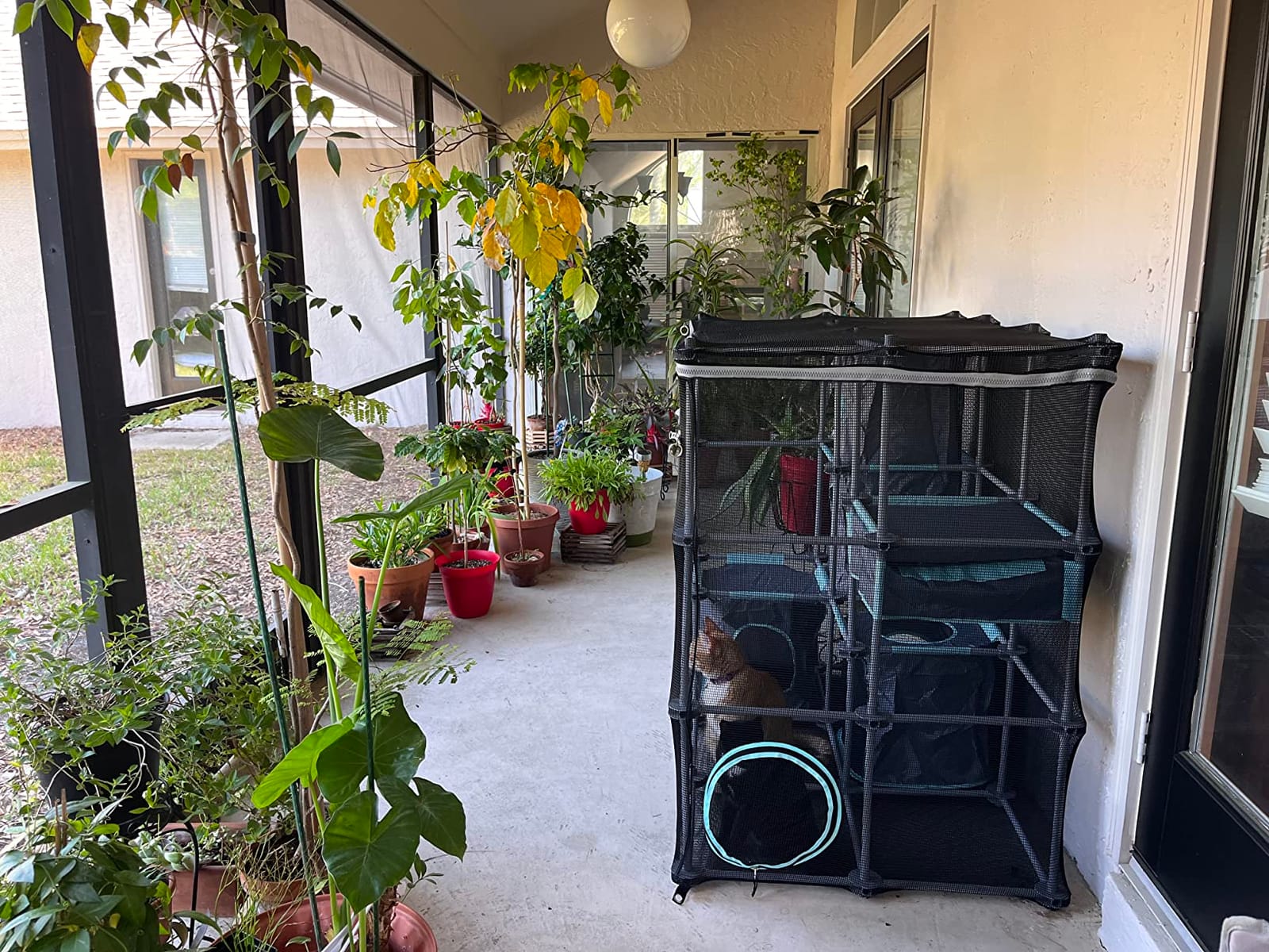 Kitty City Outdoor Catio Furniture and Play Kits for Cats, Outdoor Mega Kit customer photo 1