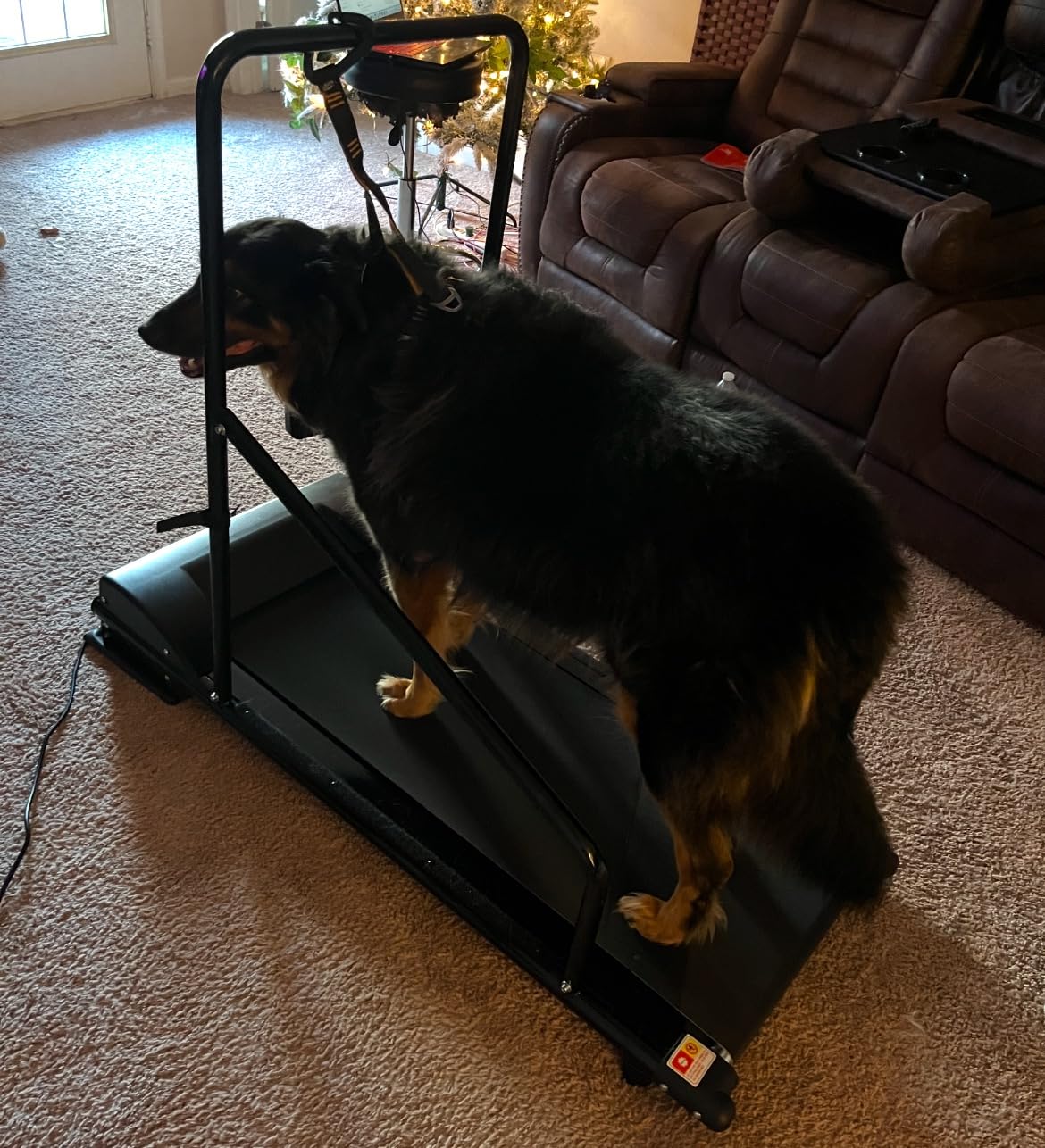 Lifepro PawRunner Dog Treadmill for Small & Medium Dogs, Remote Control | Indoor Dog Exercise Treadmill, Quiet Motor, Manual Incline, Safety Key, LCD Display for Small & Medium Dogs up to 130 lb customer photo 1