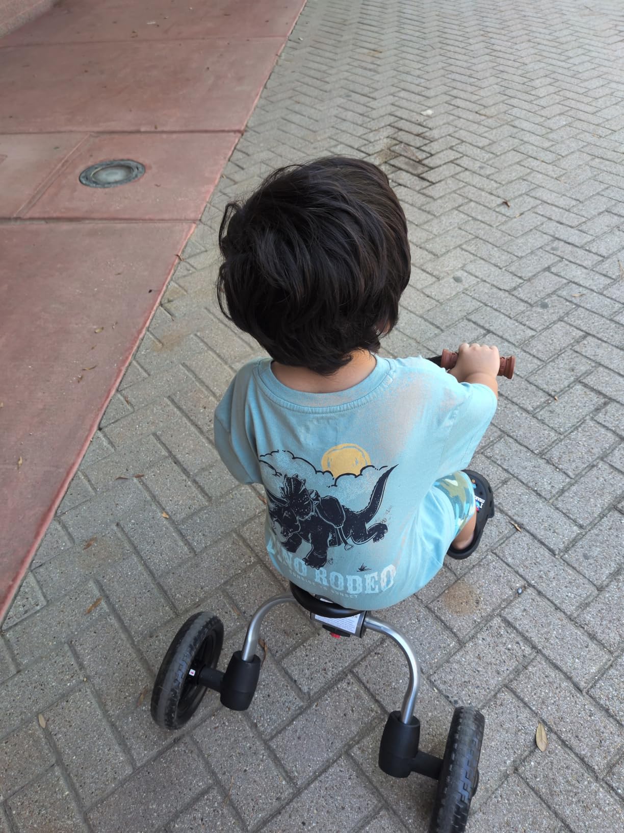XPIY Tricycle for Toddlers Age 2-5 Years Old, 3 in 1 Folding Toddler Bike for Boys and Girls, Kids' Bike Trike with Detachable Pedal and Adjustable Seat (Blue) customer photo 2