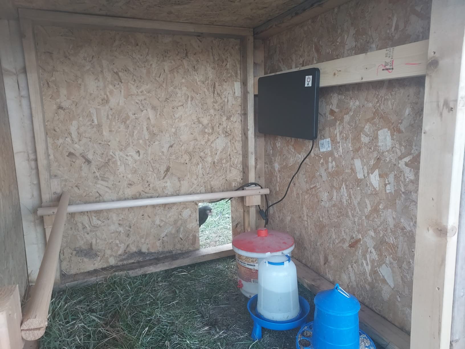 Econohome Safe Chicken Coop Heater, Safer Than Brooder Lamps, Gently Warm, 150 Watts, ETL Compliant for Safety - Also for Pets and Under Desk customer photo 2