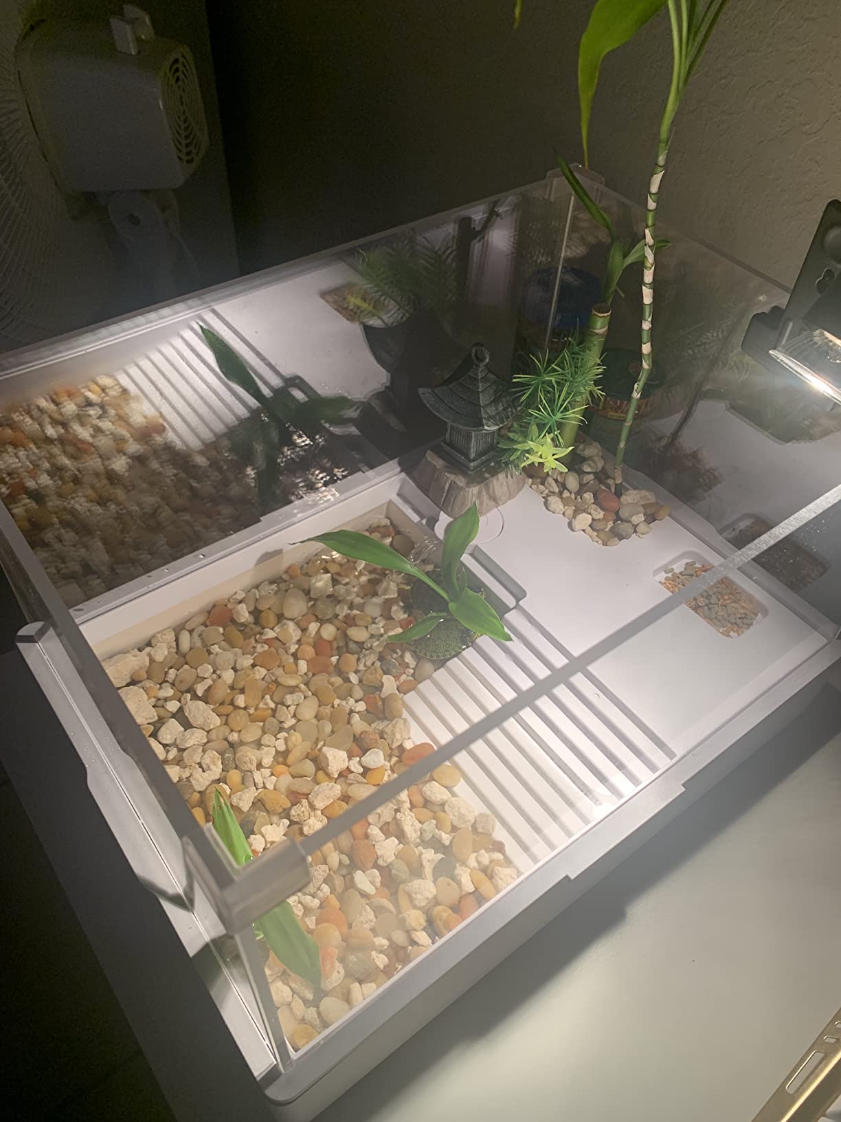 Medium Turtle Tank with Water Pump | Clear Acrylic Aquarium Habitat with Basking Platform, Easy-Clean Design for Baby Turtles and Small Reptiles customer photo 1