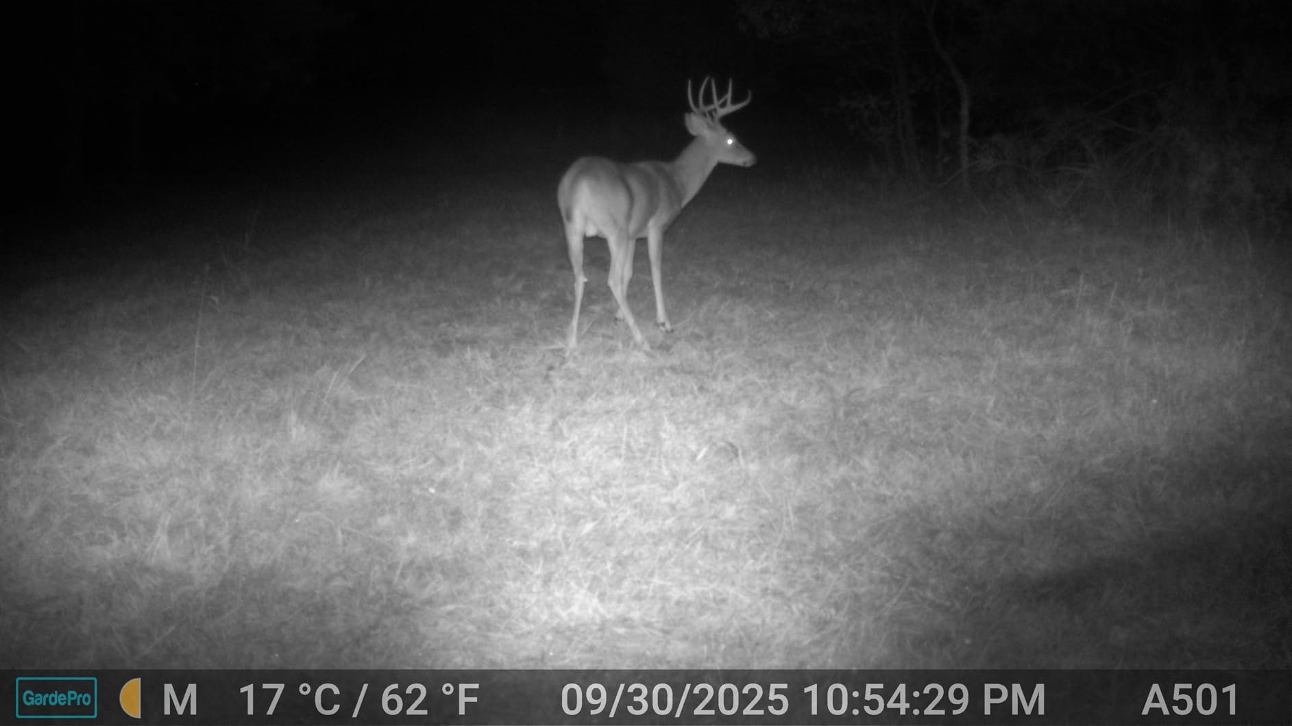 GardePro E5S Trail Camera, 64MP Photo & 1296P HD Video | 0.1s Trigger, 100ft No-Glow Night Vision, Motion Activated, Non-Cellular, Non-WiFi customer photo 1