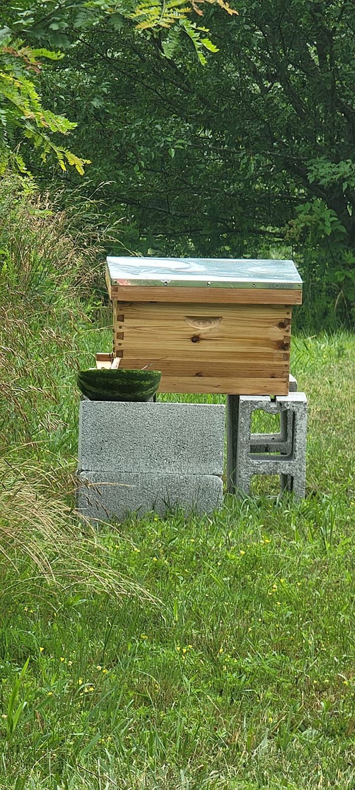 Honey Lake 10 Frame Bee Hives Boxes Starter Kit and Bee Keeping Supplies-All Beginners Kit, Bee Hive Kit with Beekeeping Tool Kit Includes Bee Smoker Beekeeper Veil Hat customer photo 1