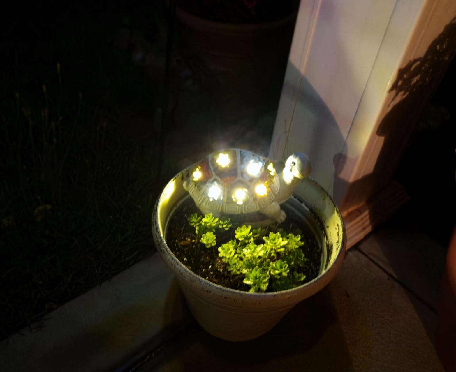 Nacome Garden Outdoor Statues Angel with Succulent and 7 LED Lights - Lawn Decor for Patio, Balcony, Yard Ornament for Mom Grandma Women customer photo 1