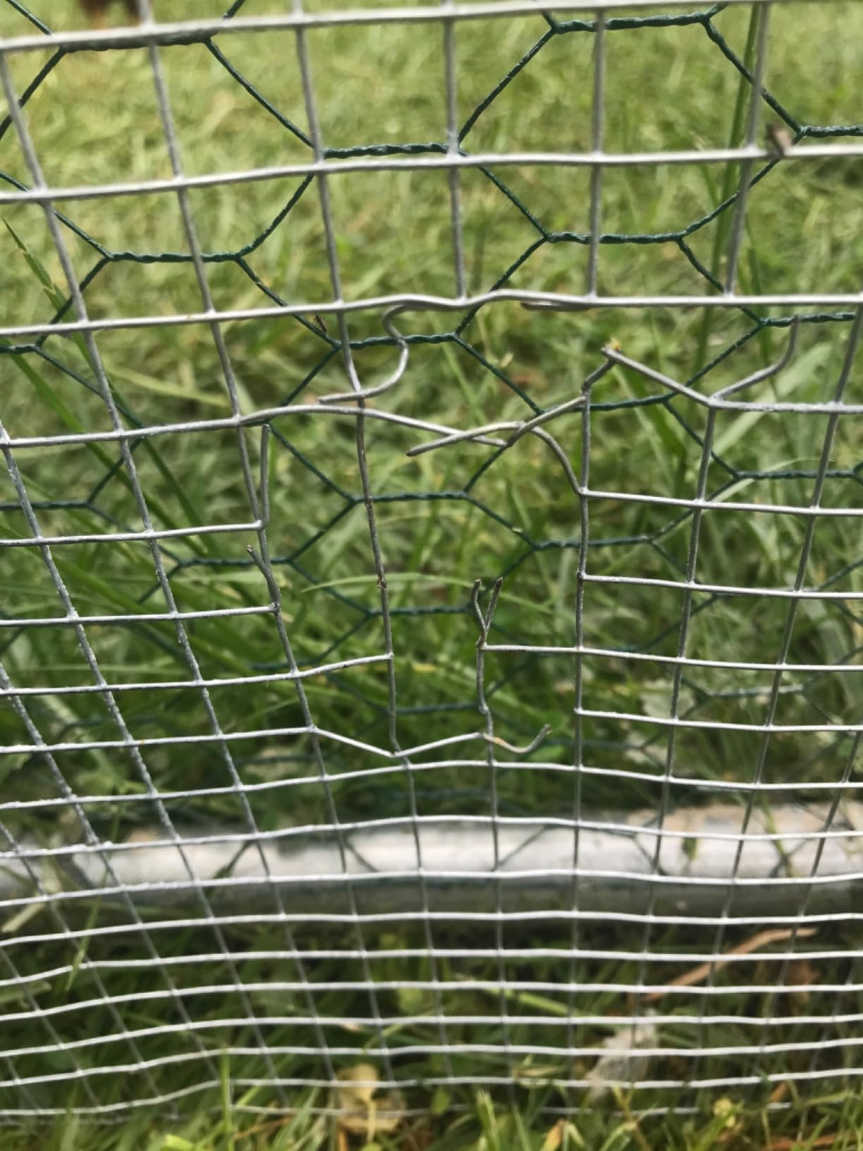 Land guard 19 Gauge Hardware Cloth, 1/2 inch 48inch×100ft Chicken Wire Fence, Galvanized Welded Cage Wire Mesh Roll customer photo 1