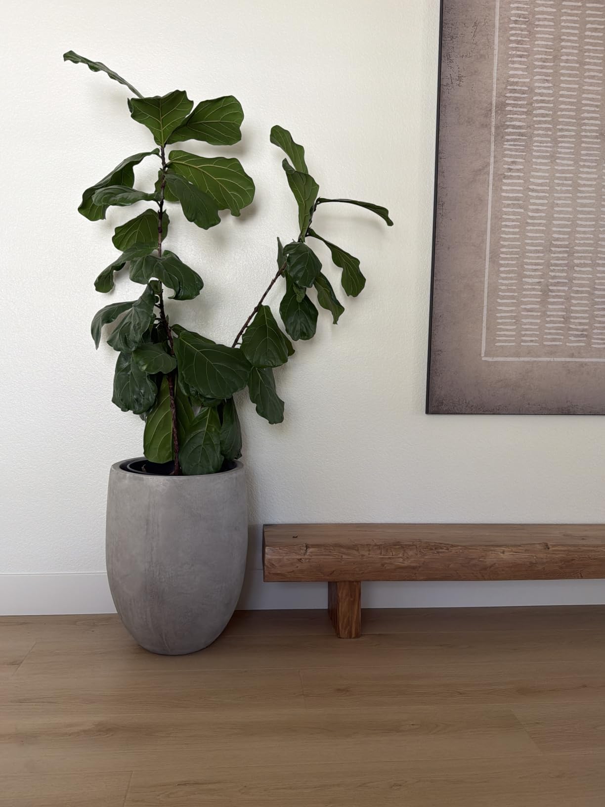 Kante Tall Concrete Planter, 21.7