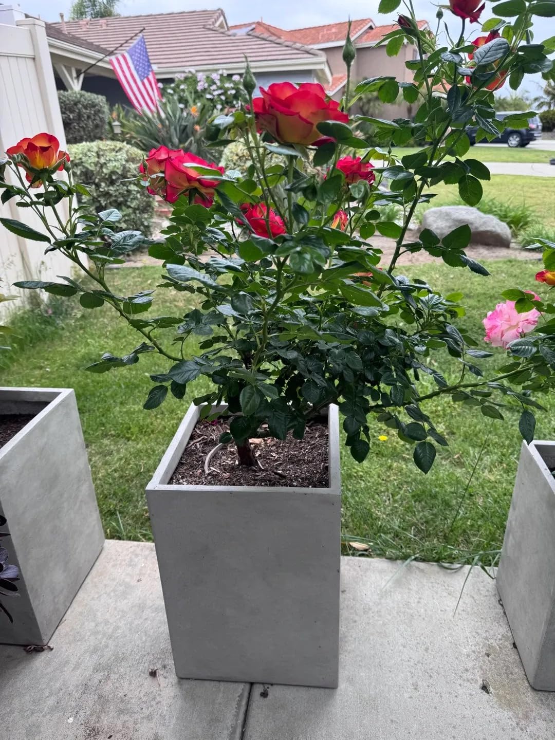 Kante Tall Concrete Planter, 21.7