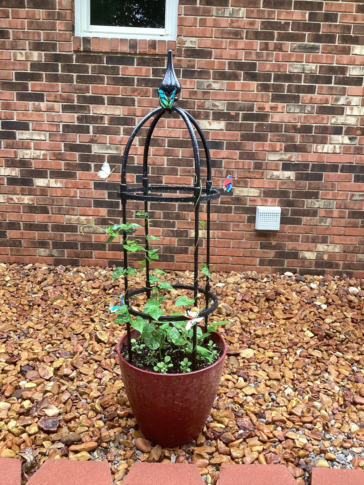 WellSign 2 Pack 6.6ft Obelisk Trellis for Climbing Plants Outdoor Indoor | Garden Tower Trellis for Potted Plants with Twist Tie, Clips and Butterflies Rustproof Coated Metal Support for Vines Rose customer photo 2