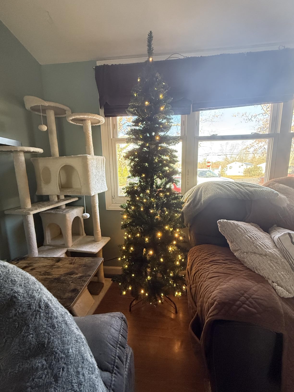 SHareconn 6ft Prelit Pencil Hinged Christmas Tree with Multi-Color Lights | Remote & Timer, 669 Realistic Dense Branch Tips, Includes Stand, Easy Setup, Ideal Xmas Decor for Home and Office, Green customer photo 2
