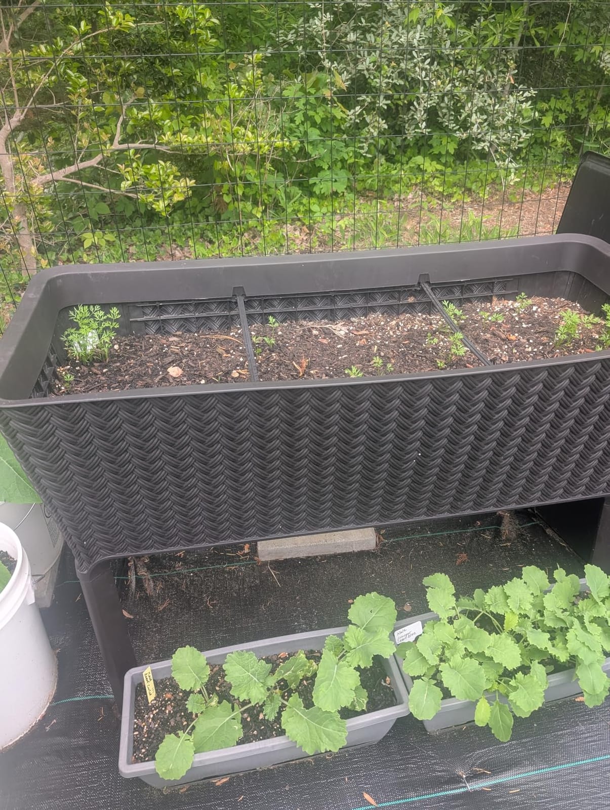 Keter Splendor 31.7 Gallon Raised Garden Bed with Self Watering Planter Box and Drainage Plug-Perfect for Growing Fresh Vegetables, Flowers and Herbs, Brown customer photo 2