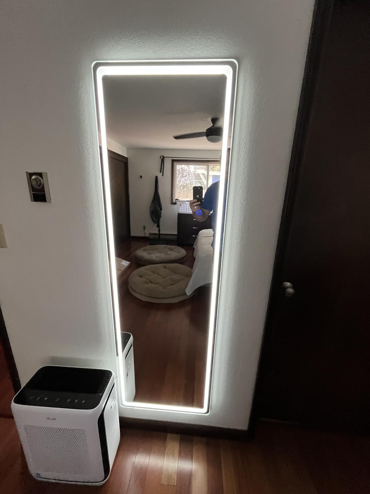 FENNIO Full Length Mirror with Lights, 70