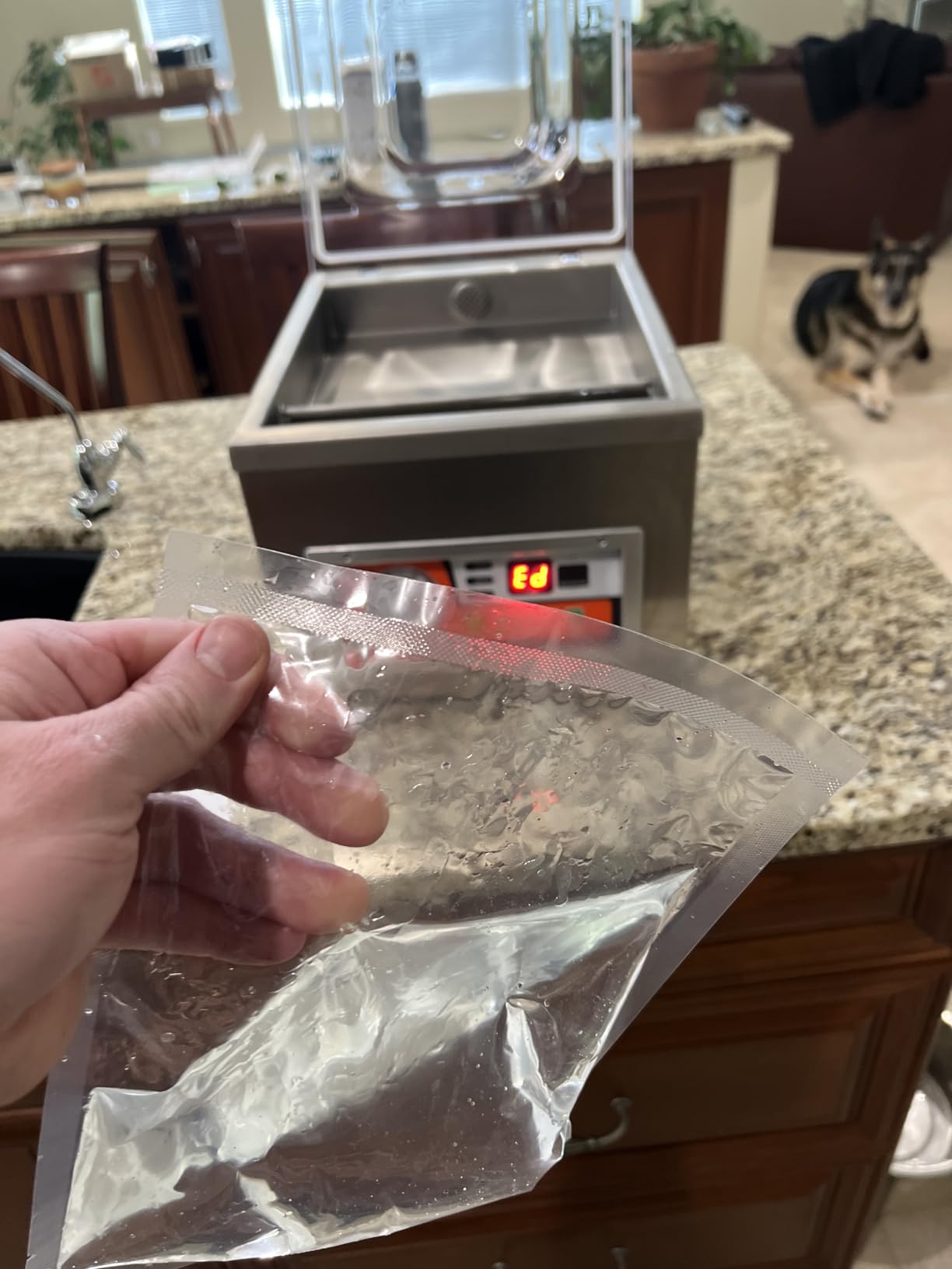 VEVOR Chamber Vacuum Sealer 260W Sealing Power 10.2 Inch Sealing Length | Vacuum Packing Machine for Wet Foods, Meats, Marinades and More, Compact Size, Applied in Home Kitchen and Commercial Use customer photo 2