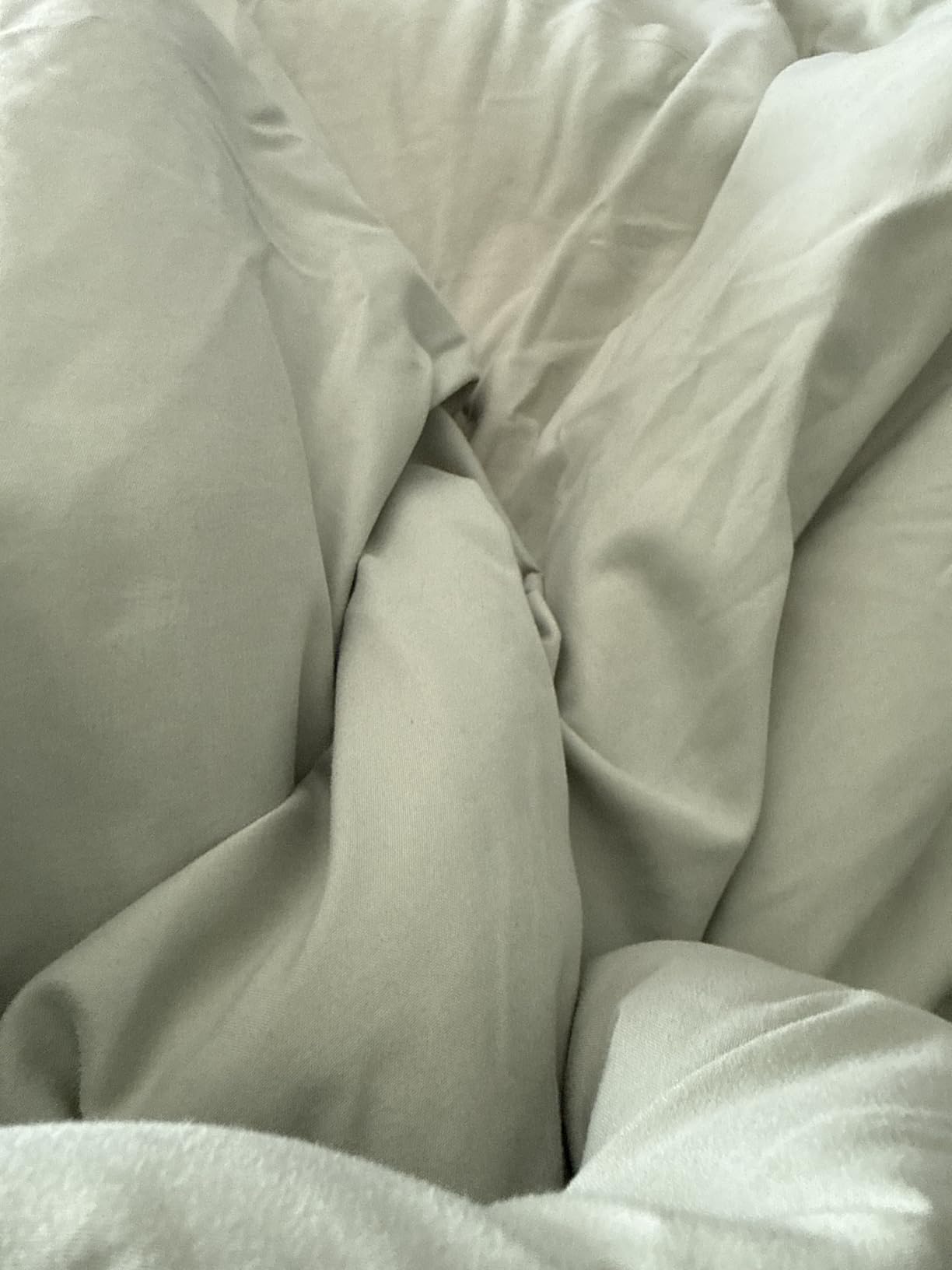 BEDELITE Fleece Queen Comforter Set, Fluffy Bed Set, Cream White | Super Soft & Warm Bedding, Luxury Fuzzy Faux Fur Comforter for Winter, Heavy Plush Bedding, with 2 Pillowcases customer photo 2