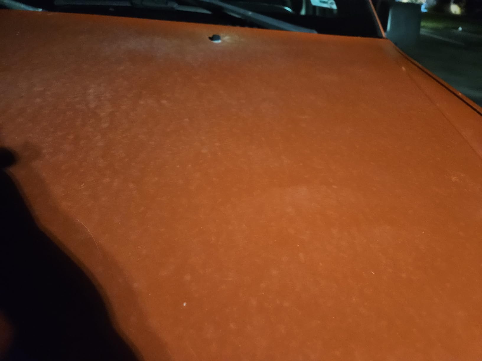 CERAKOTE Rapid Ceramic Paint Sealant Spray for Cars, 14 oz | Hydrophobic ceramic coating for high-gloss shine; spray-on, safe on all painted surfaces customer photo 1