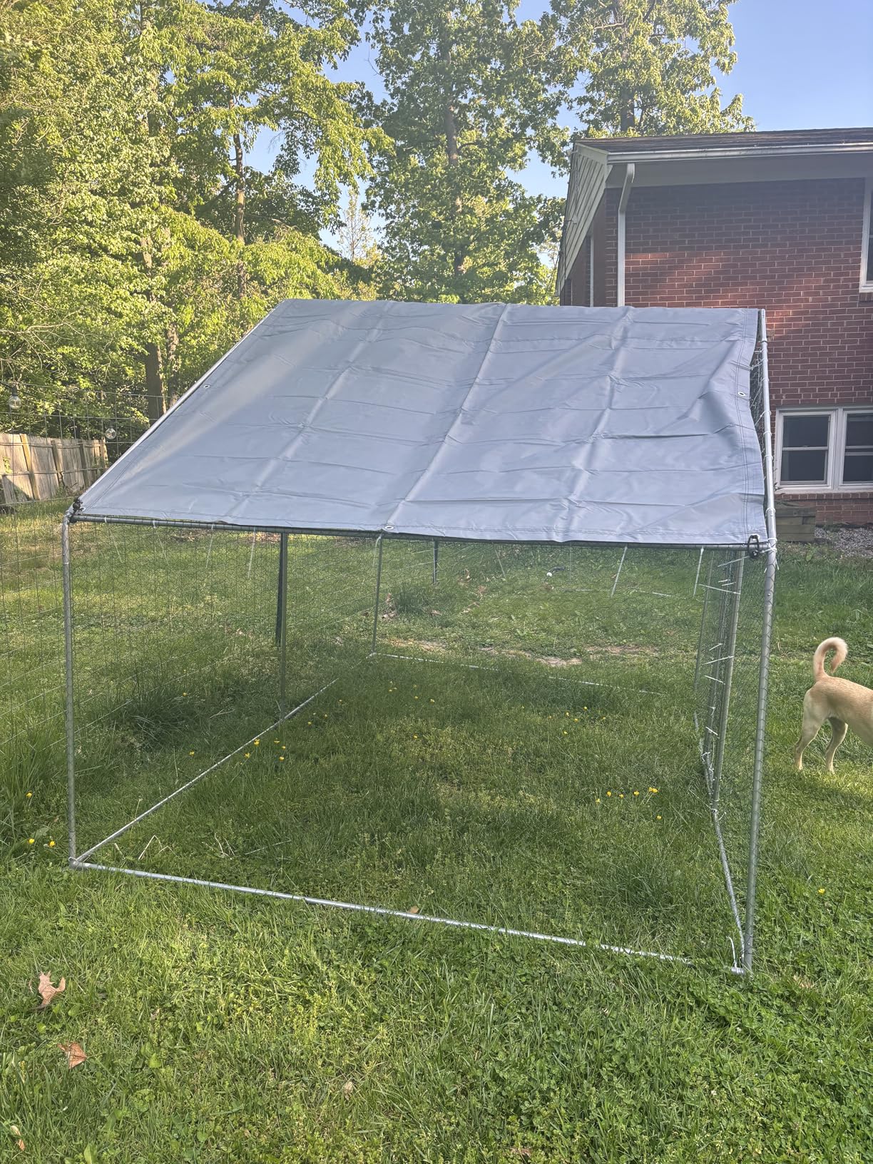 Large Metal Chicken Coop Round Top Upgrade Tri-Supporting Wire Mesh Chicken Run,Chicken Pen with Water-Resident and Anti-UV Cover,Duck Rabbit House Outdoor(19'L x 9'W x 6.5'H) customer photo 2