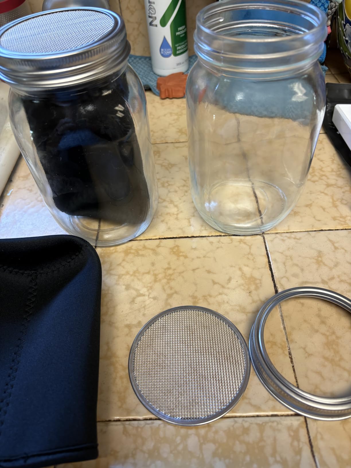 Seed Sprouting Jar Kit - 2 Wide Mouth Mason Jars with 316 Stainless Steel Sprouting Lids Covers, Drip Tray and Stand for Growing Broccoli Alfalfa Beans Sprout (Two Jars) customer photo 2